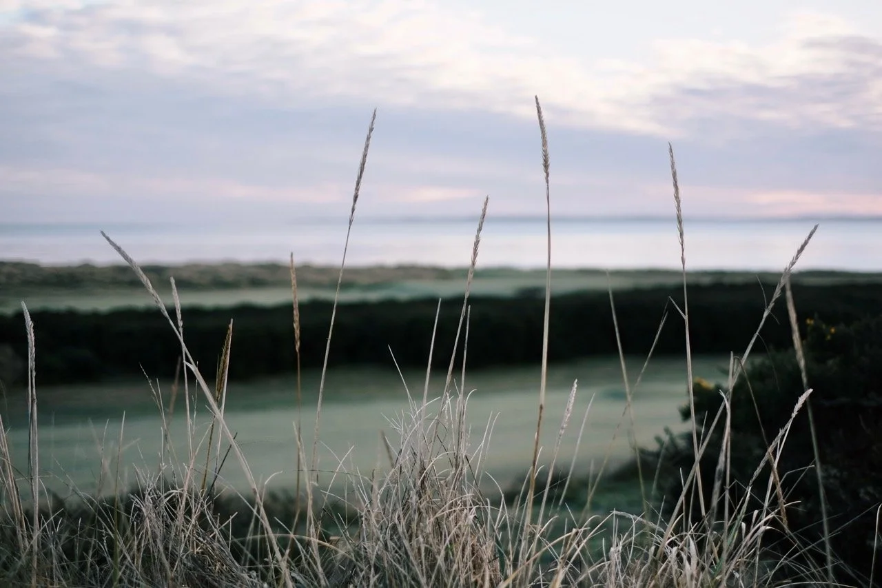 2023-11-26-dornoch-golf-dlm-17 Large.jpeg