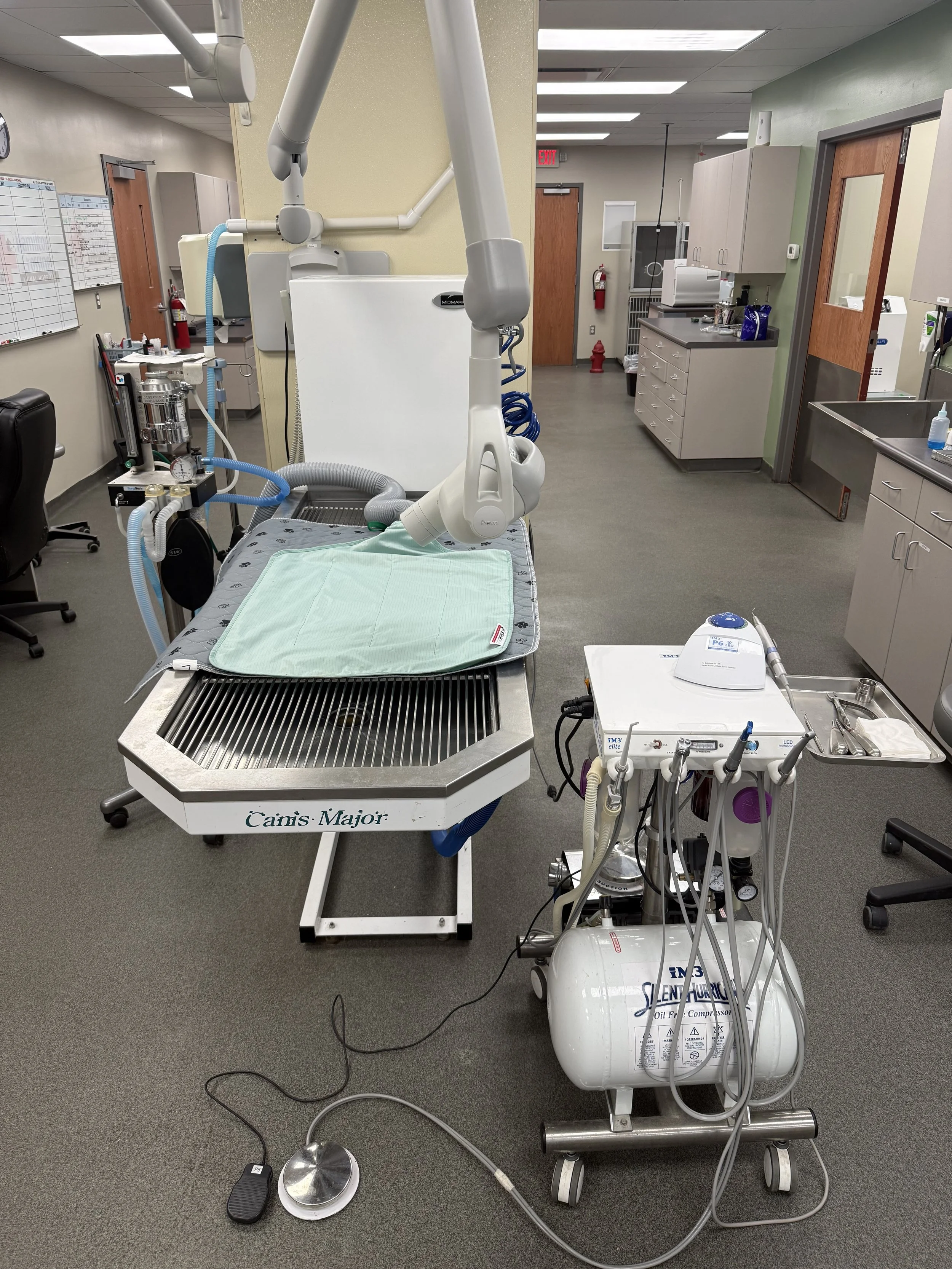 Dentistry