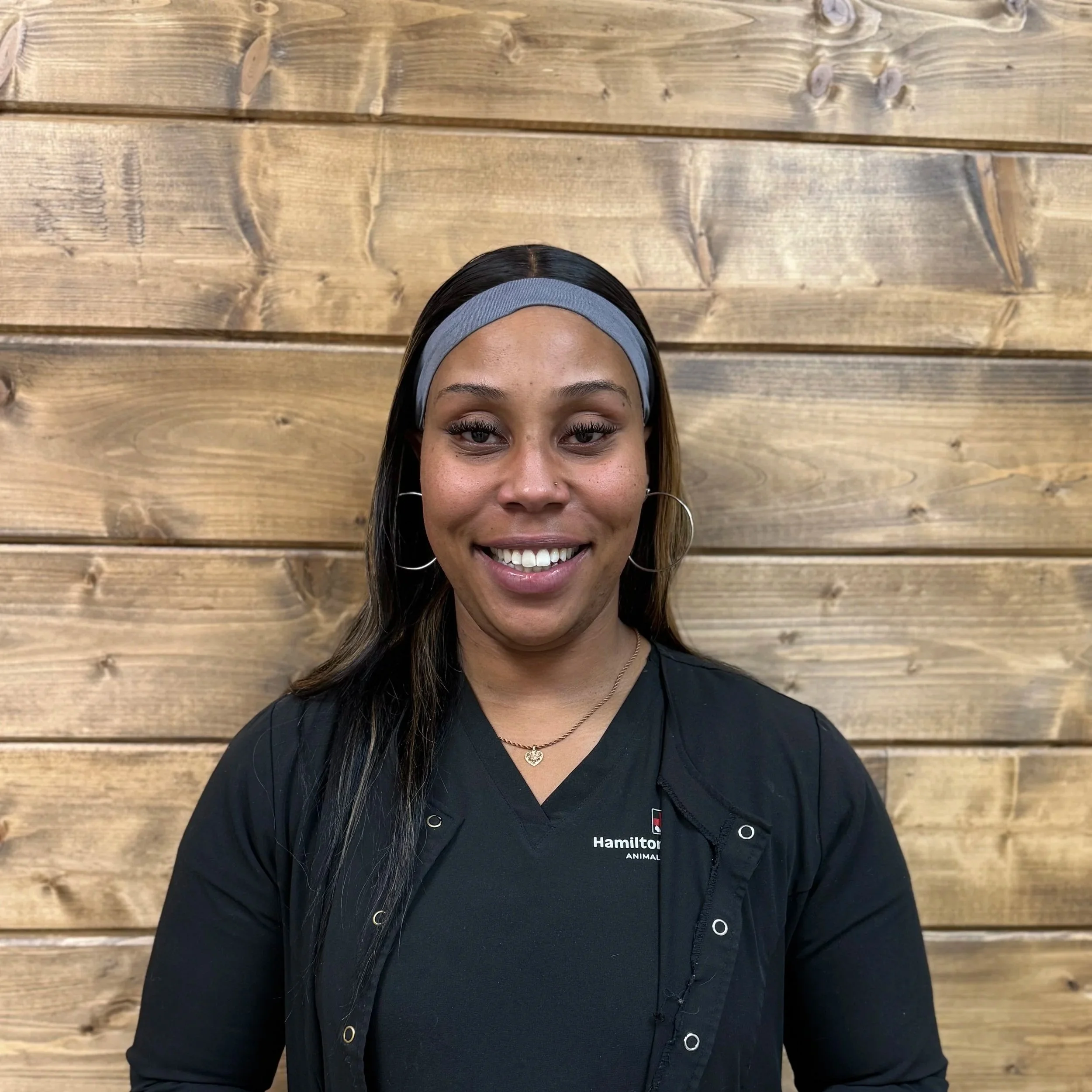 A brown dachshund dog with floppy ears looking out of a car window.