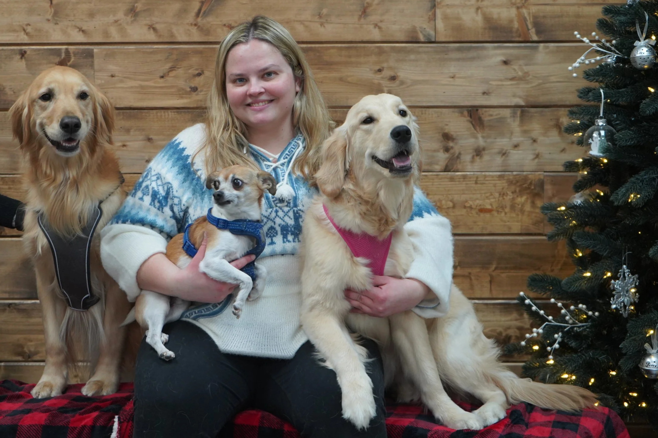 A woman sitting on a red and black plaid blanket with four dogs, a Christmas tree decorated with ornaments and lights in the background, and a wooden wall.