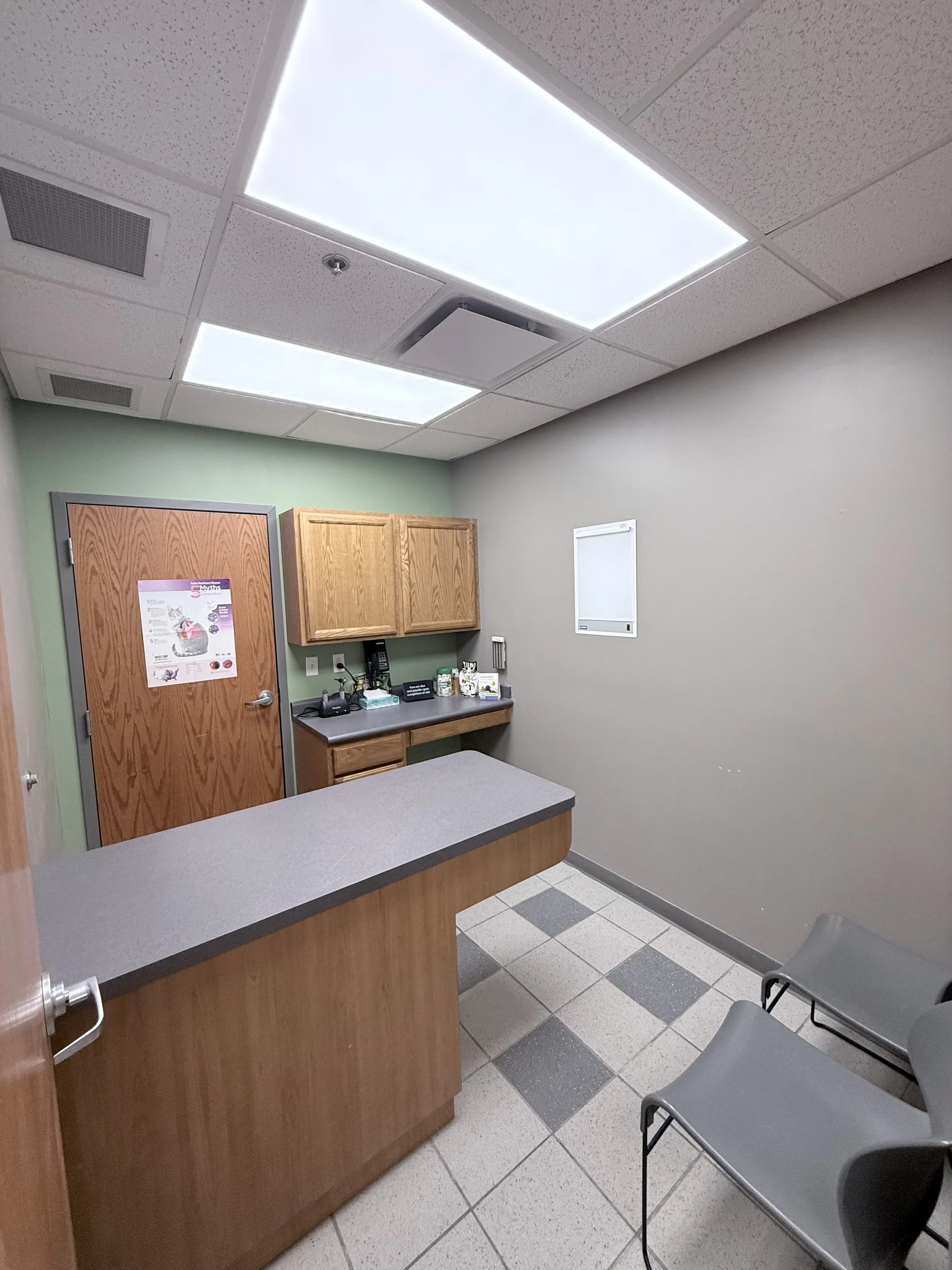 Cat Exam Room 