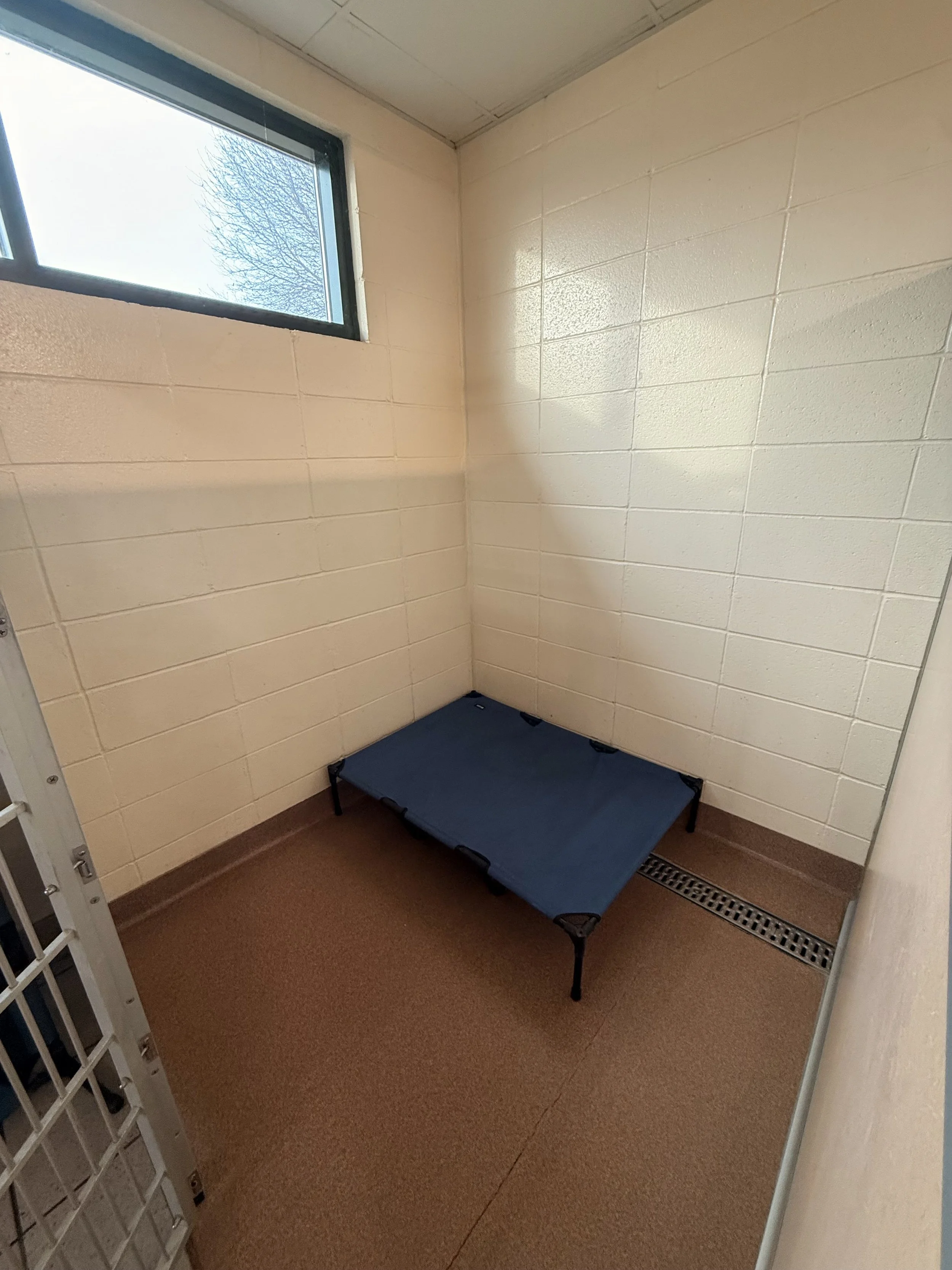 Extra Large Boarding Kennel 