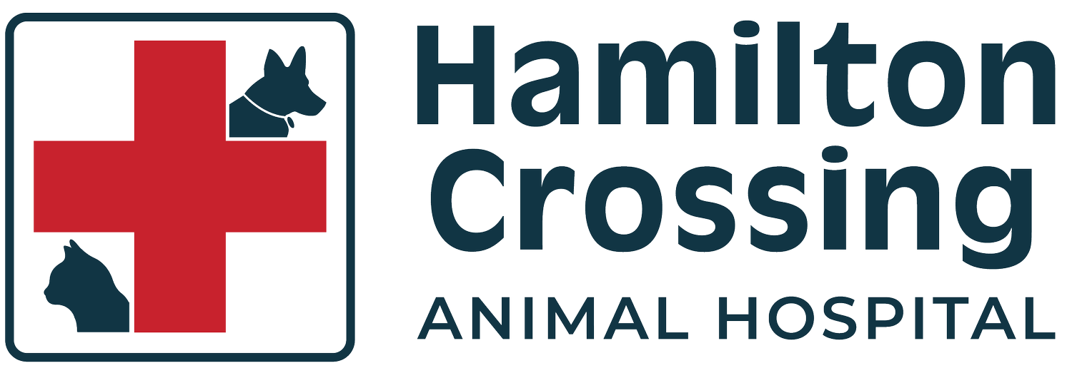 Hamilton Crossing Animal Hospital