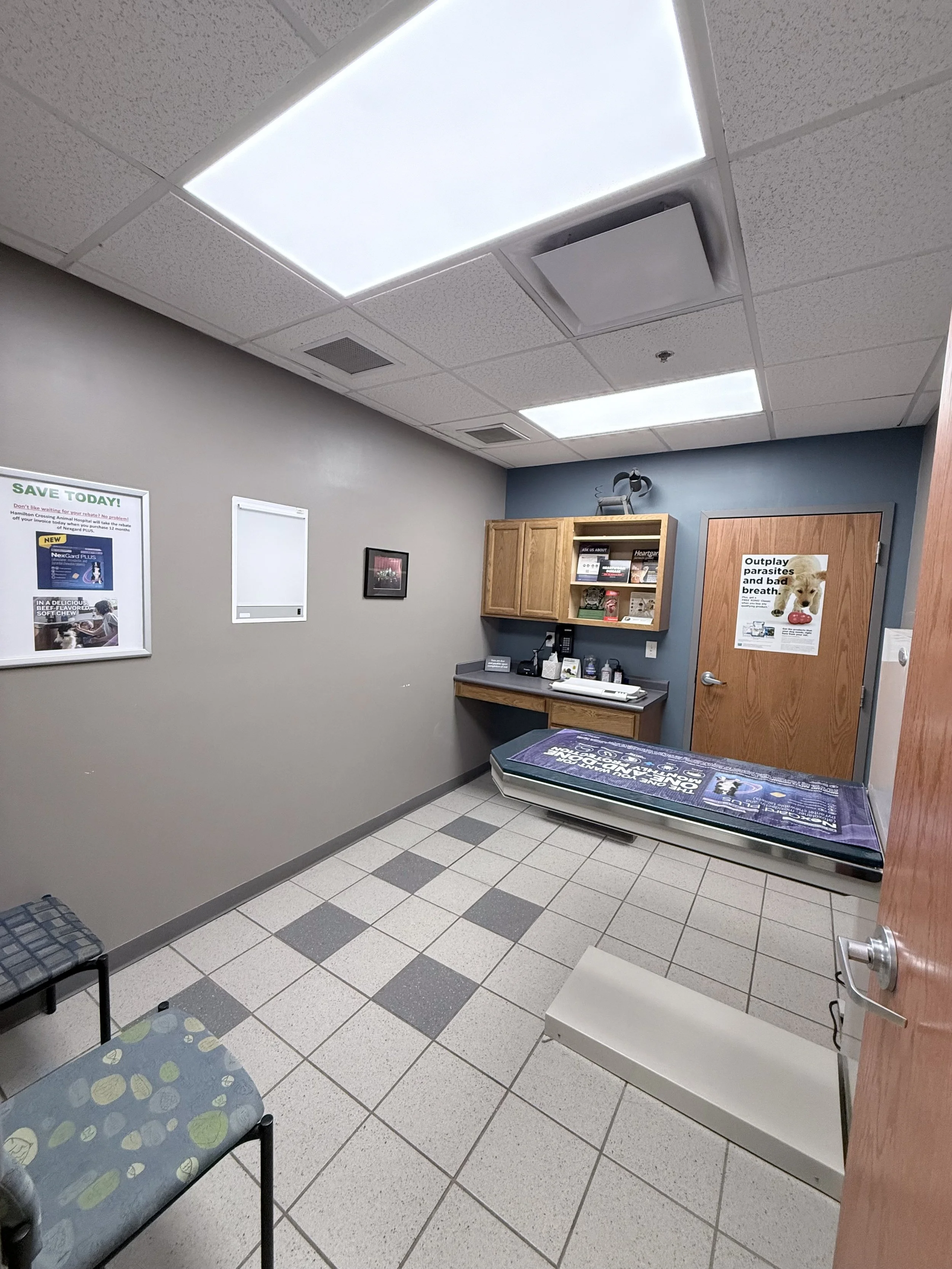 Dog Exam Room 