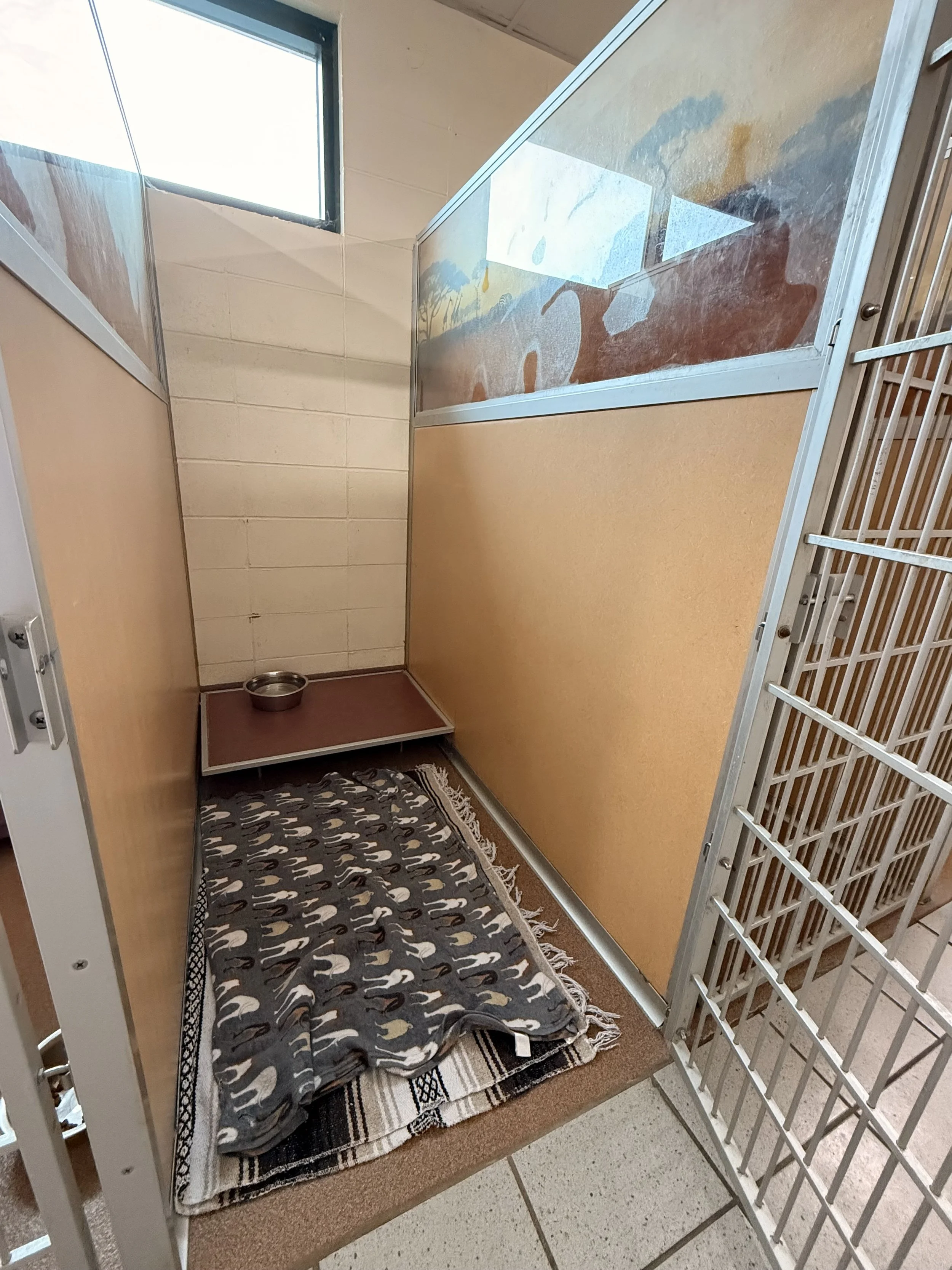 Large Boarding Kennel 