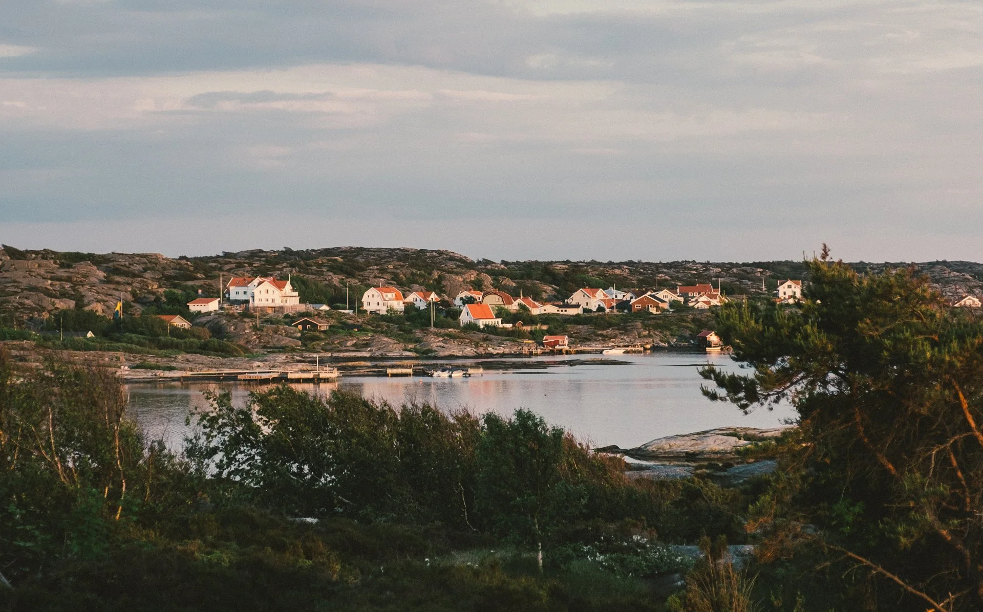 DSCF6154-2.jpg