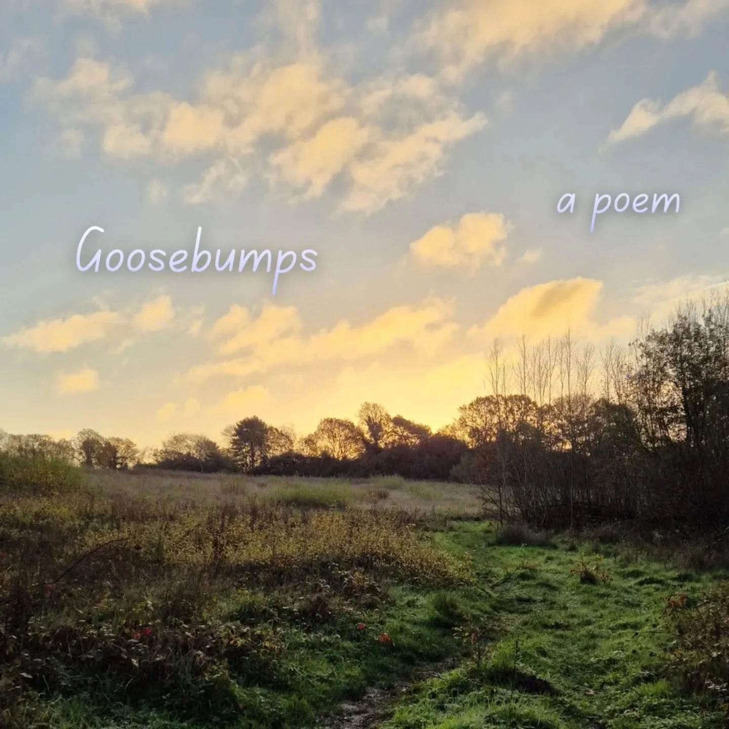 Been a while since I posted regular poetry but would like to start it up again, always helps you refine the longer more intentional pieces.

Anyway, here's a poem called Goosebumps inspired by @promptsbyjasmine prompt 2 and also slightly doubling up 