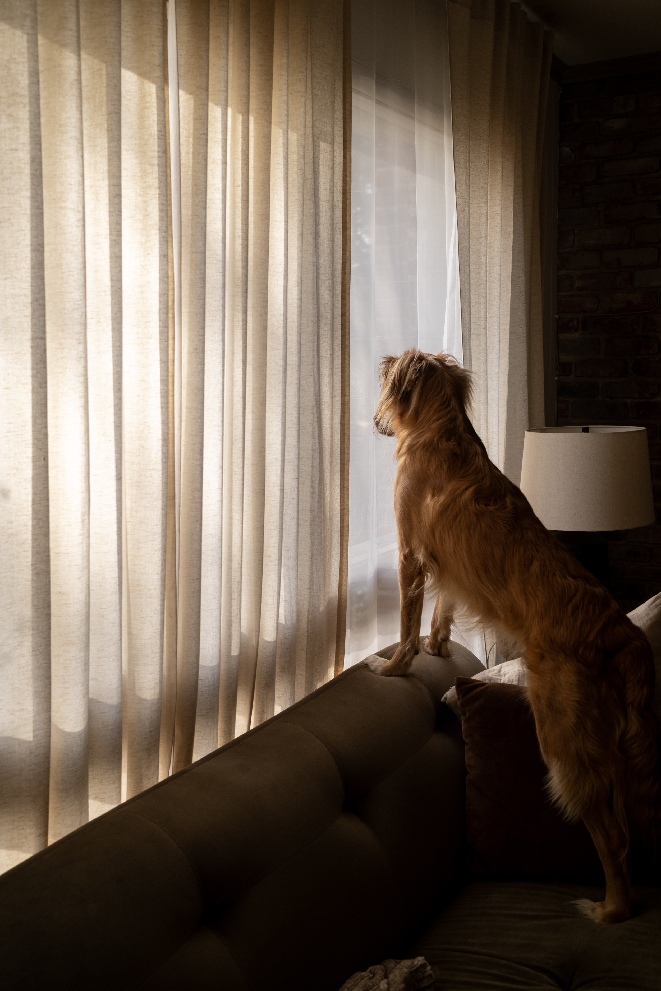DSCF5390.jpg