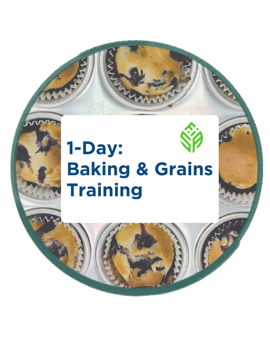 1-Day: Baking and Grains Training