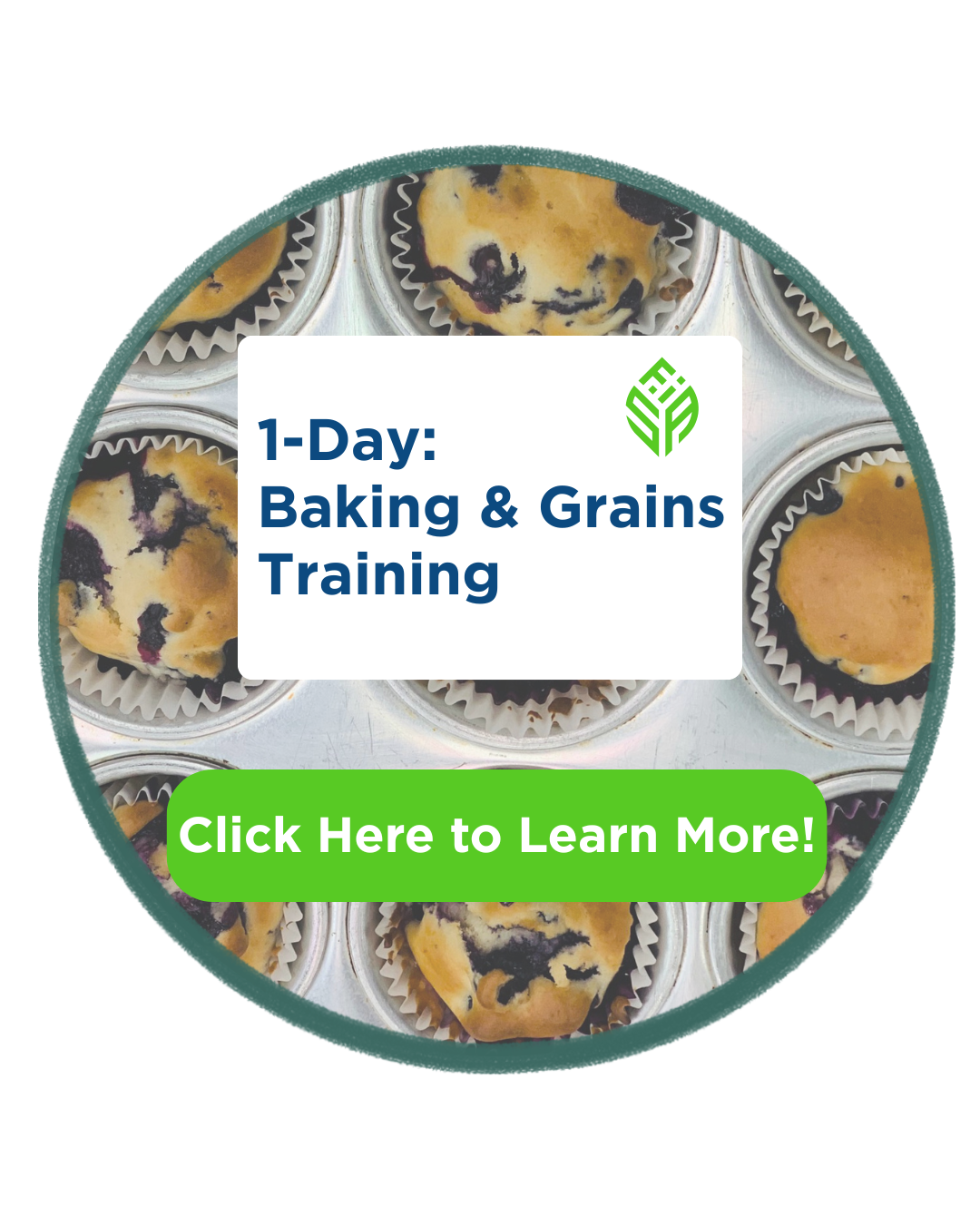 1-Day: Baking and Grains Training