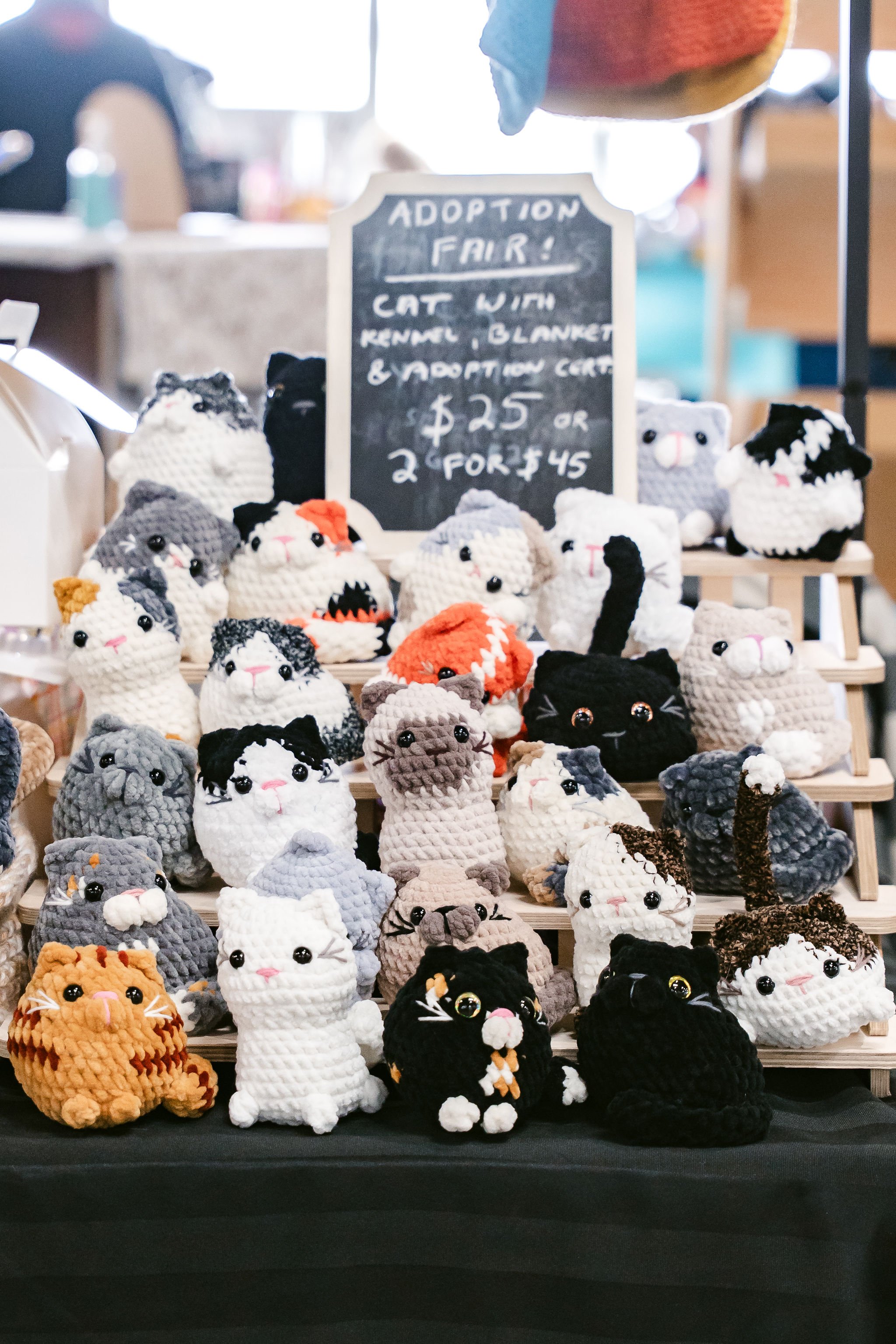 meow mania 2026-14.jpg