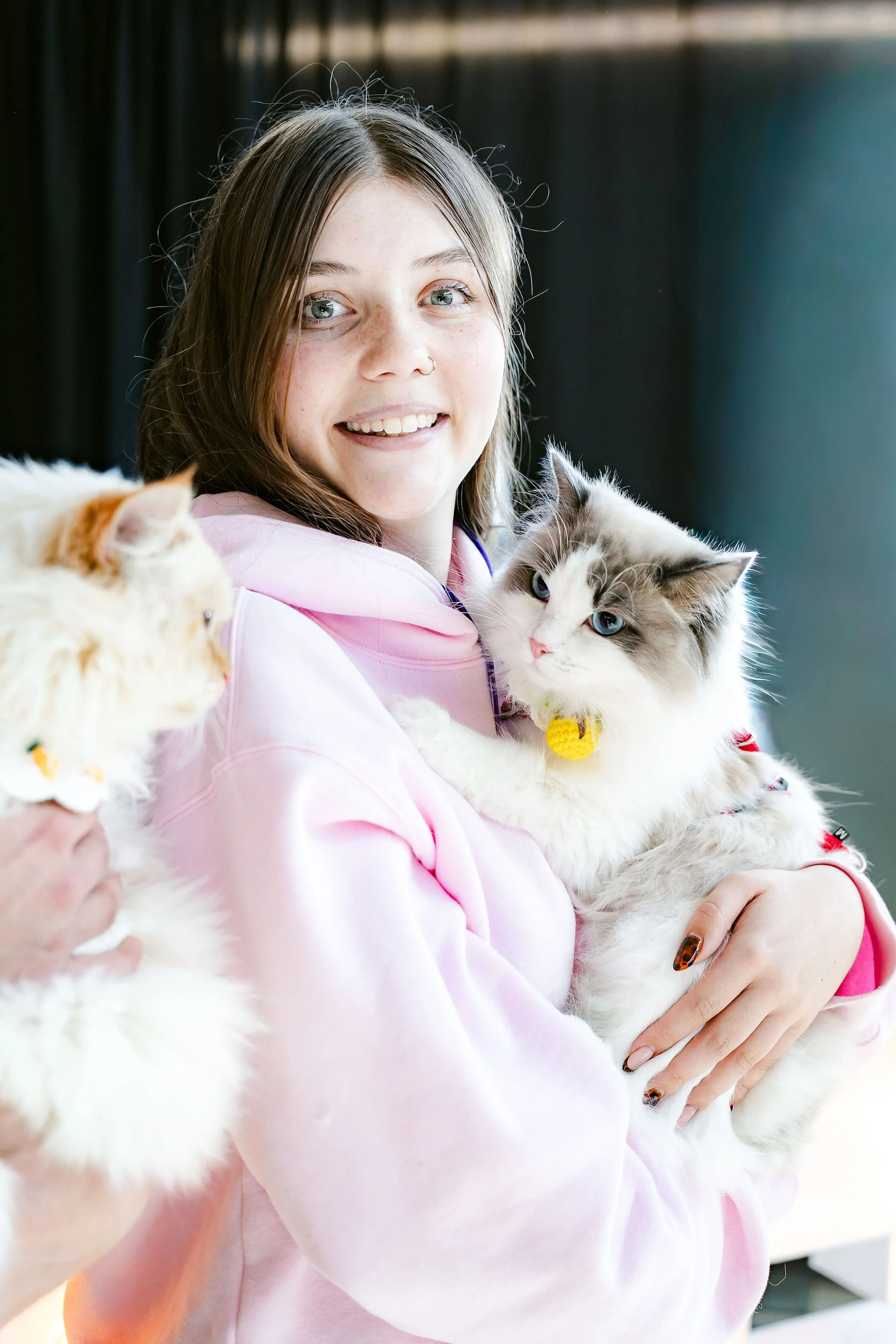 meow mania cats-57.jpg