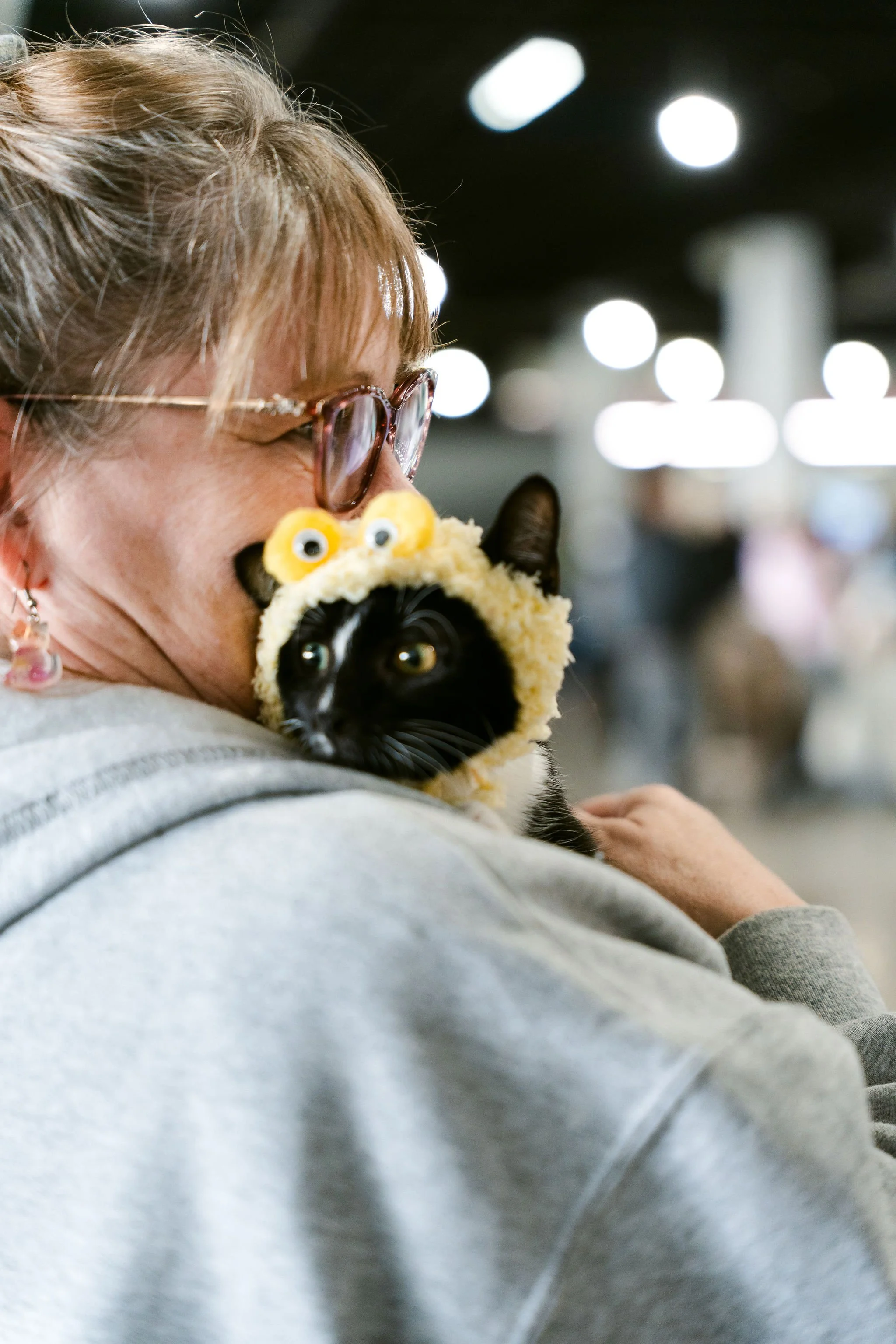 meow mania cats-24.jpg