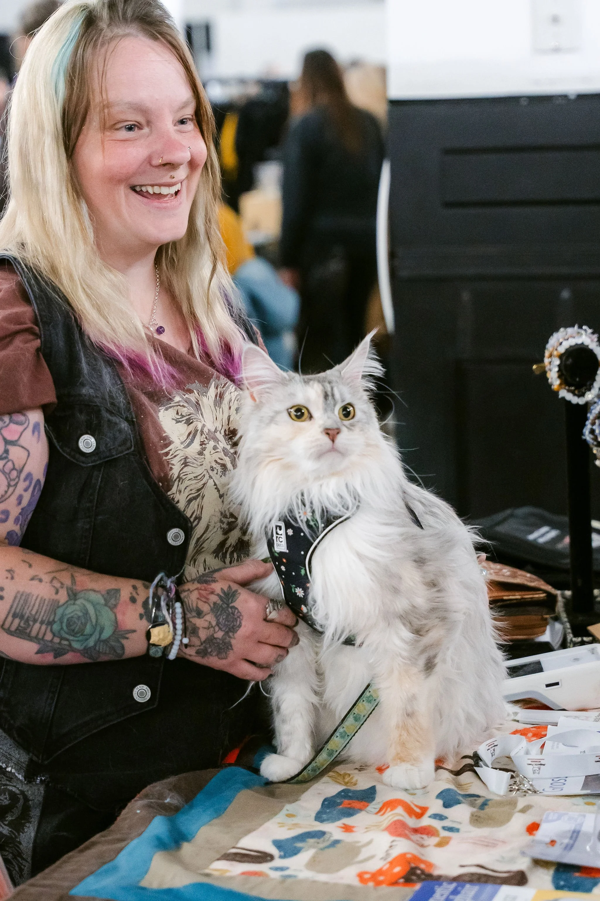 meow mania cats-37.jpg