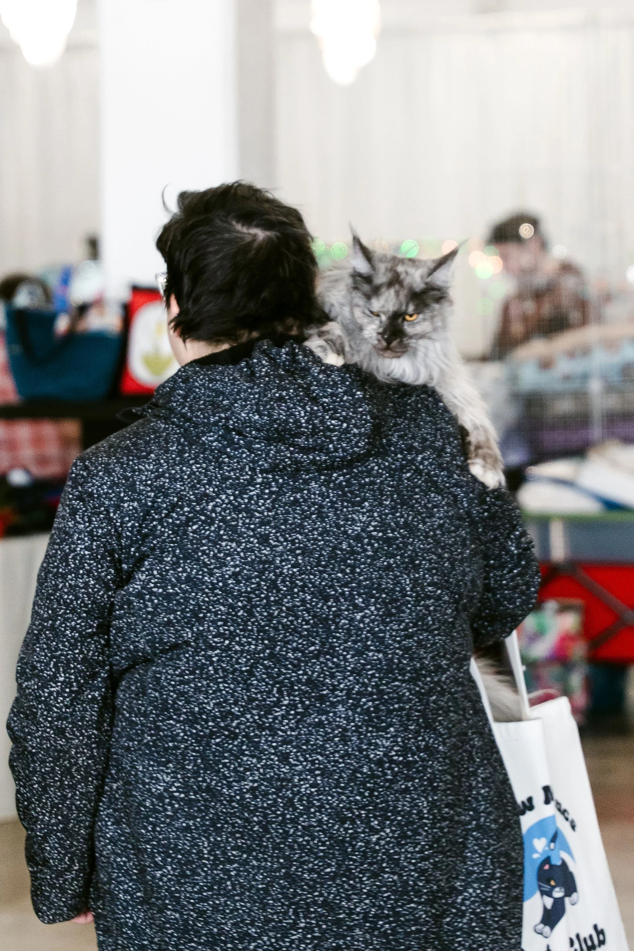 meow mania cats-26.jpg