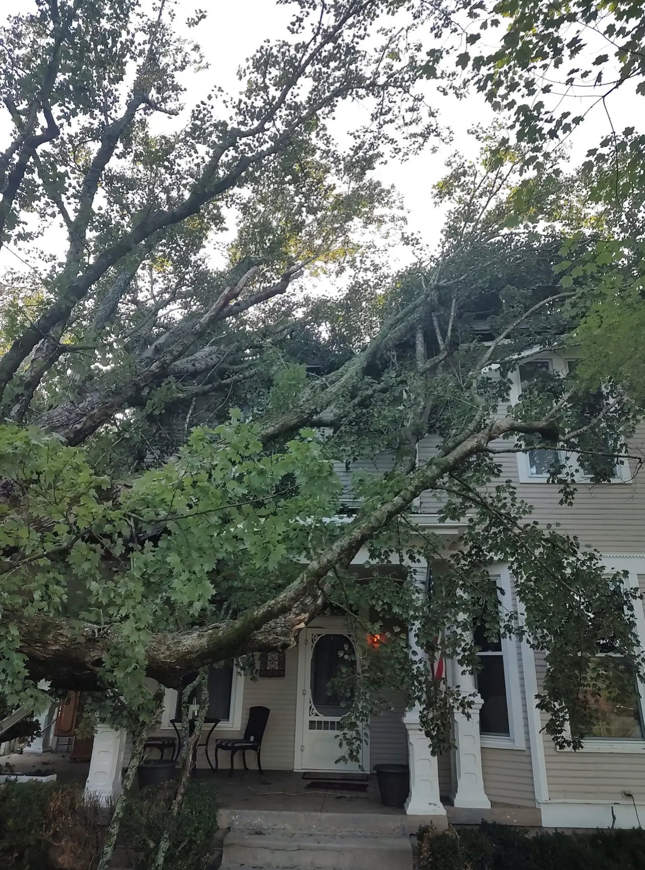 Professional tree emergency in Columbia, Spring Hill, TN