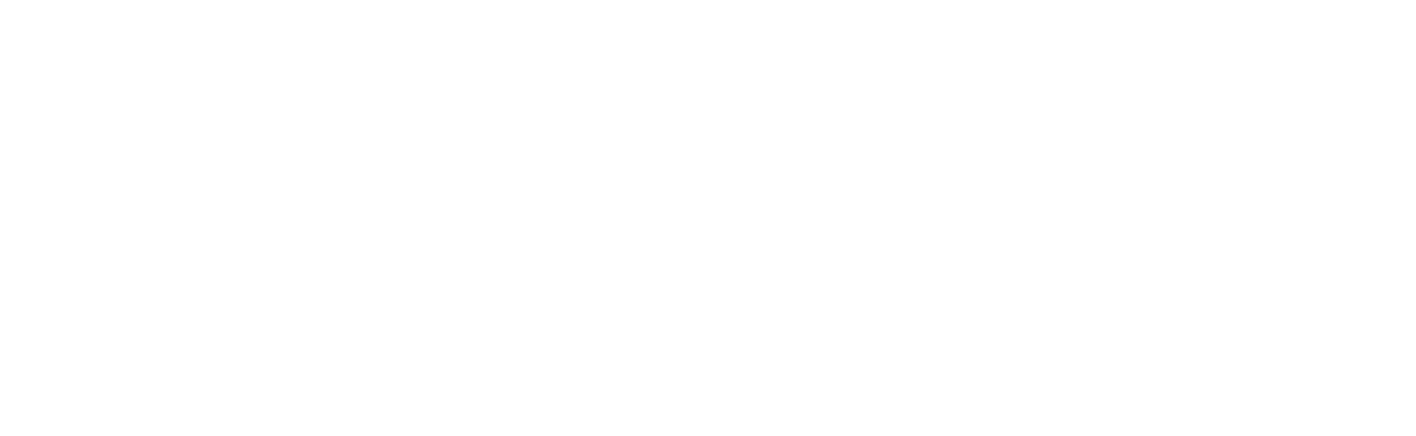 The word "FIERA" in large white capital letters against a black background.