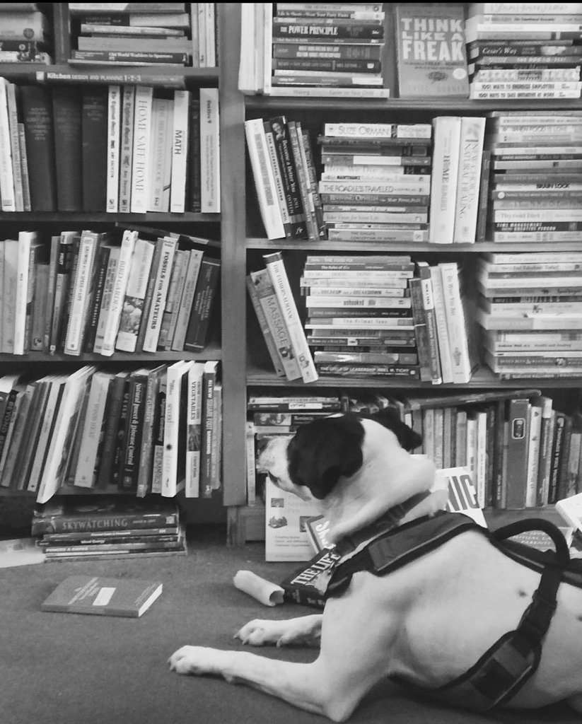 Books and Pups