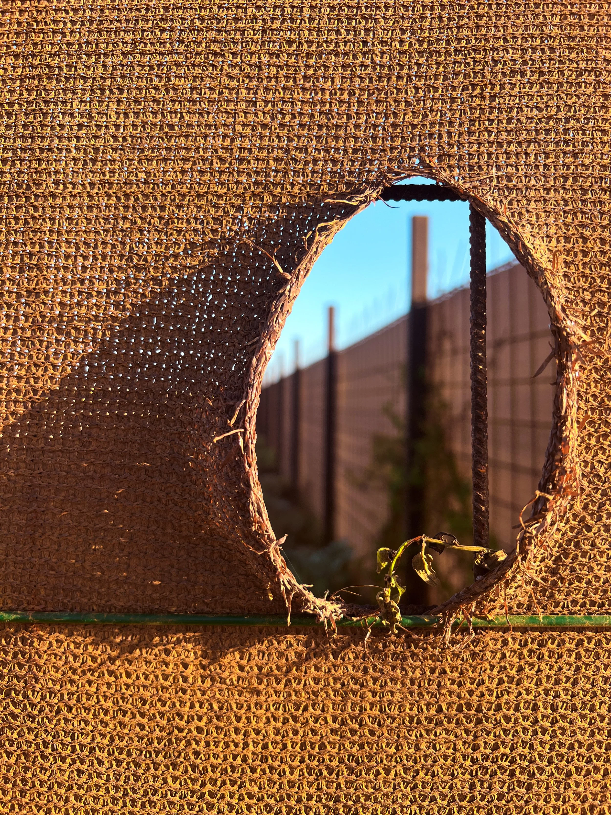Close-up of a torn woven wicker basket with frayed fibers and a green support rod