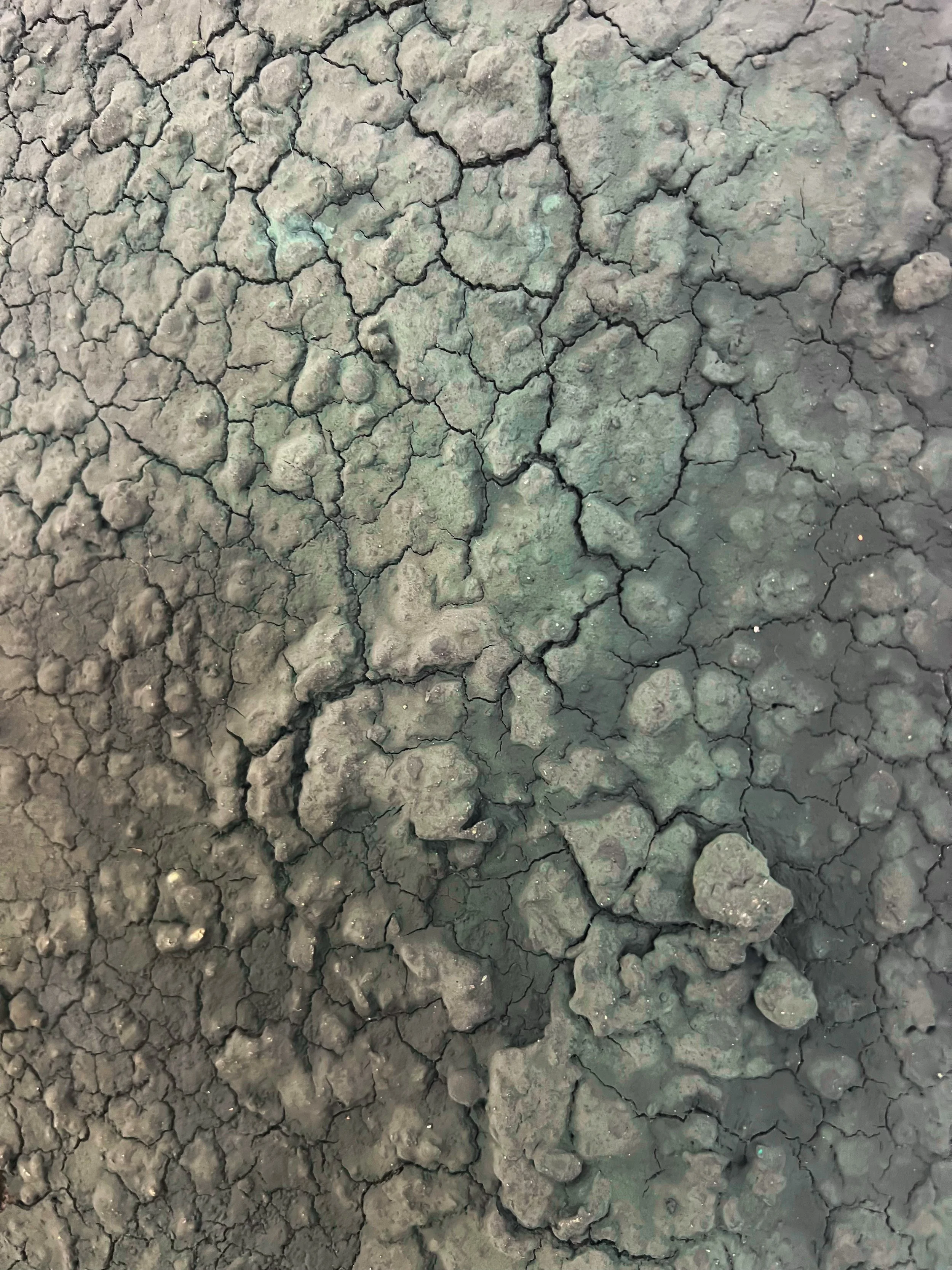 Close-up of cracked, dry gray-green mud with rough clumps and mineral flecks