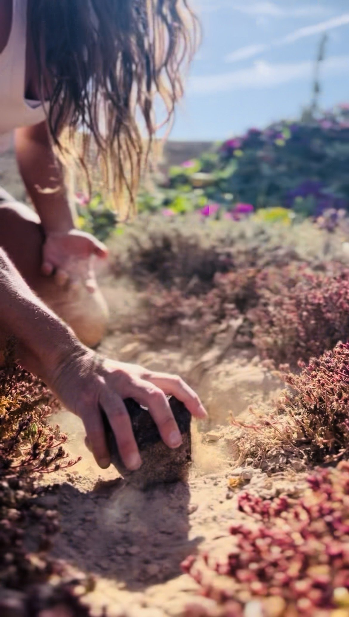 A person with long hair planting a small cactus in sandy soil, with pink and purple flowers and a blue sky in the background.