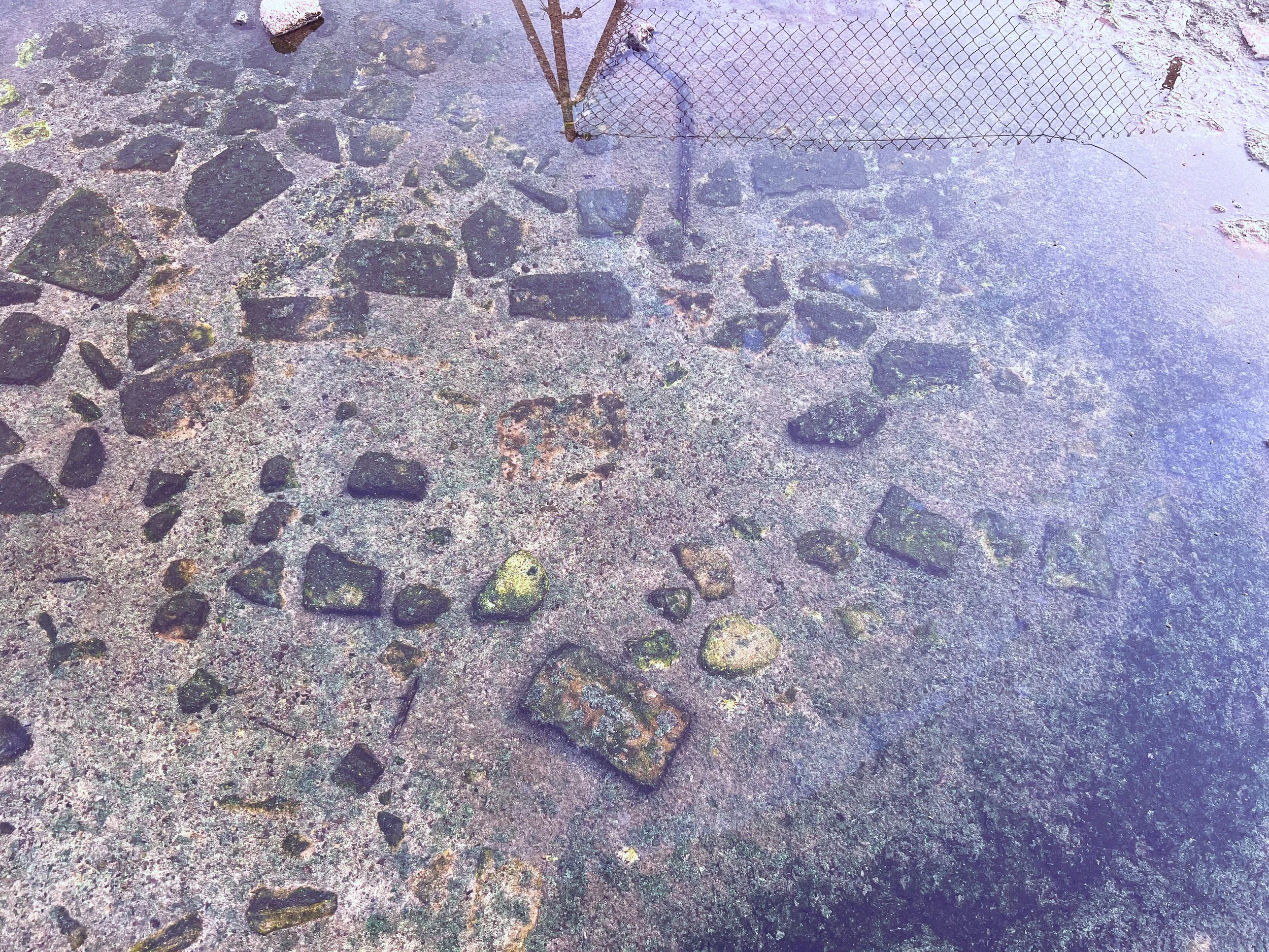 Close-up of a weathered stone pavement with moss-covered cobblestones and a chain-link fence