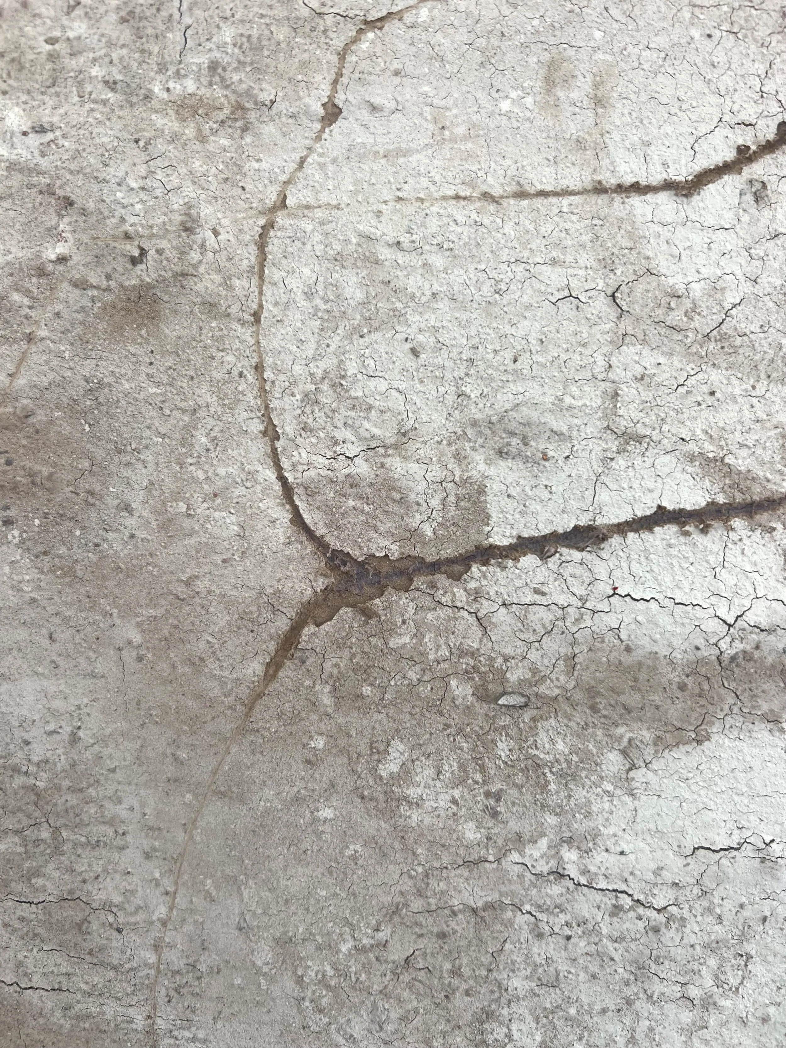 Close-up of a weathered, cracked gray concrete surface.