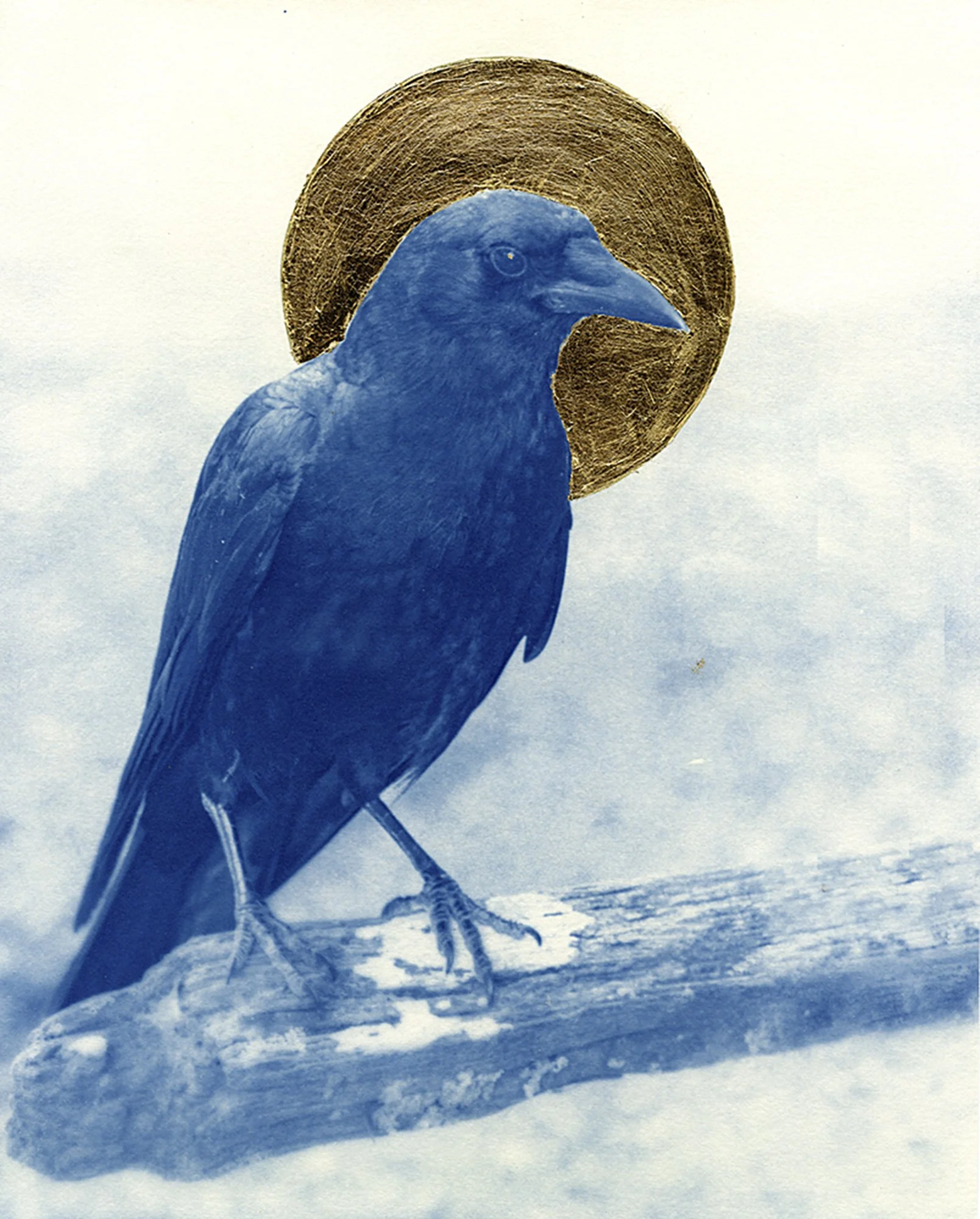 Midnight Surveillance 8x10 on 7/8" cradled panel. Cyanotype with metal gilding, sealed with cold wax.