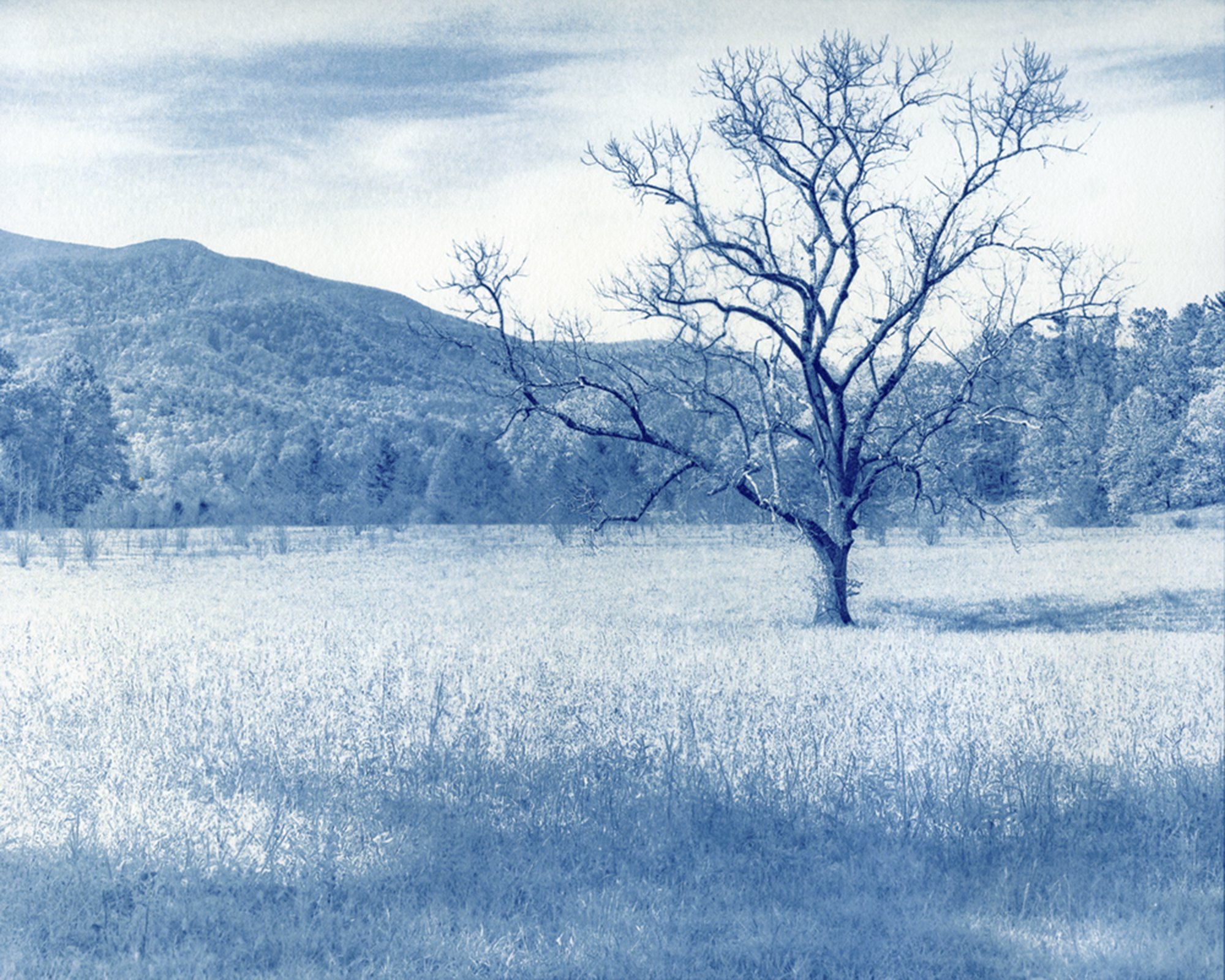 Cades Cove Memories 8x10