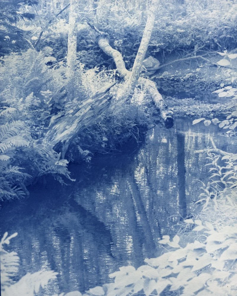 Megunticook Brook 8x10