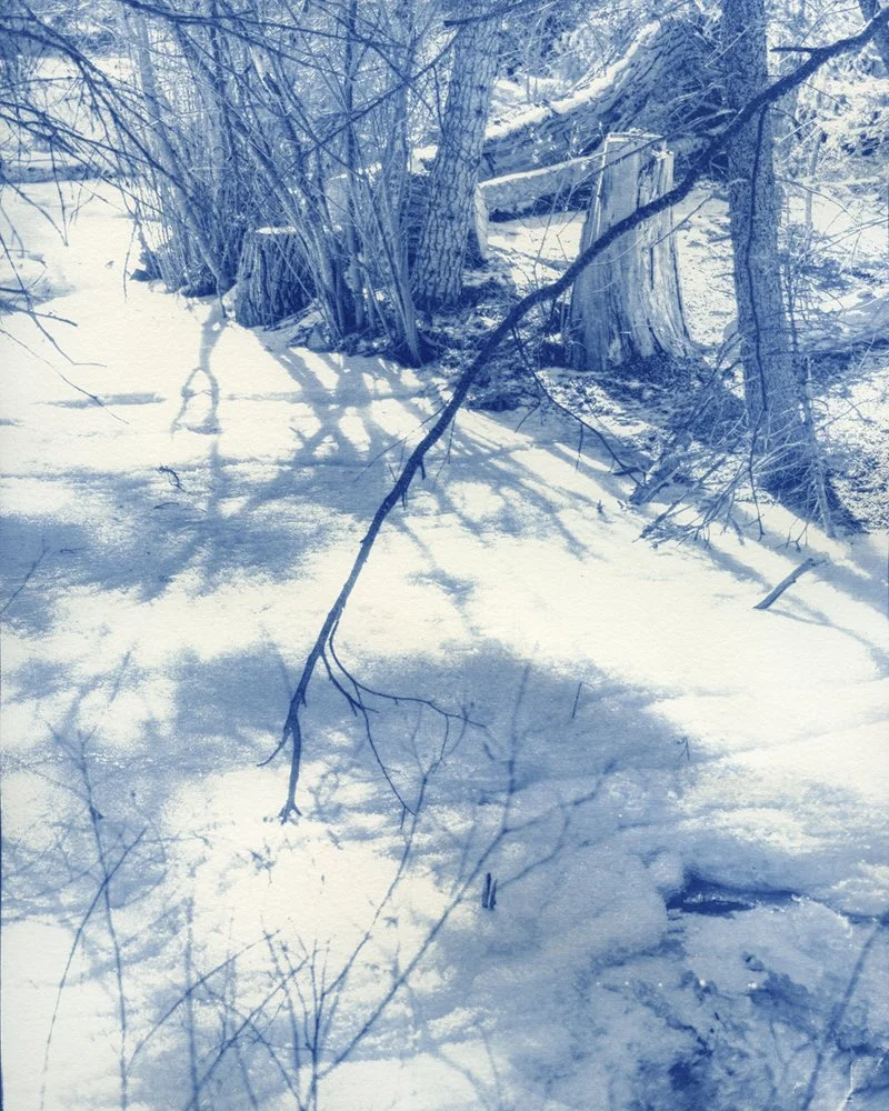 Snowy Chestnut Trail  14x11