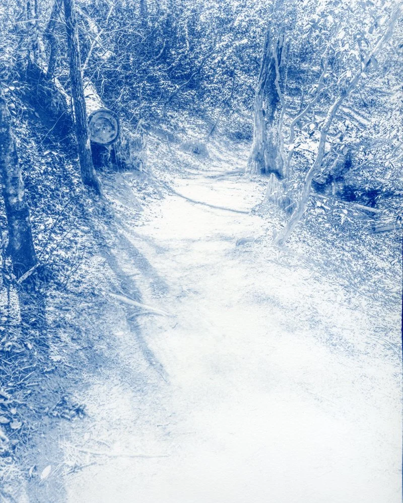 Poinsett Historical Park 8x10