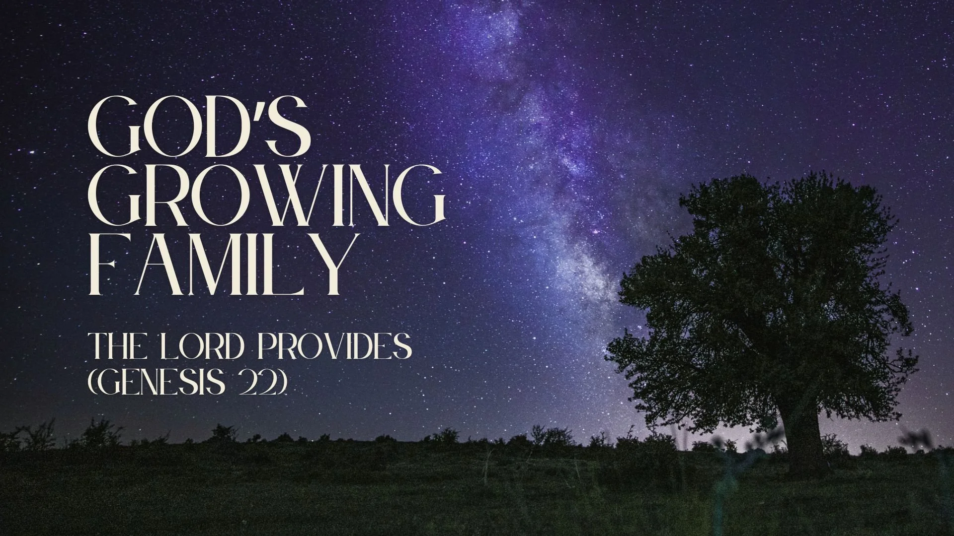 The Lord Provides (Genesis 22)