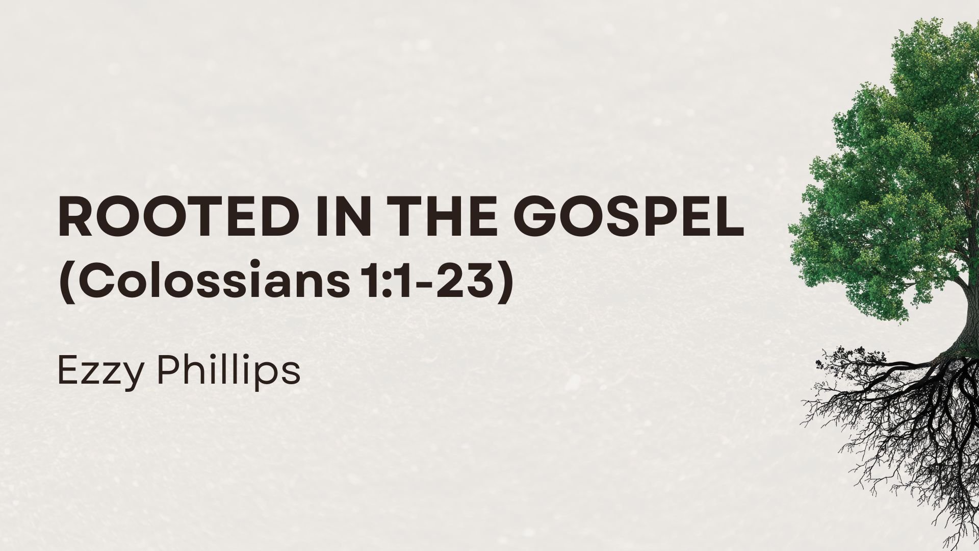 Rooted in the Gospel (Colossians 1.1–23)