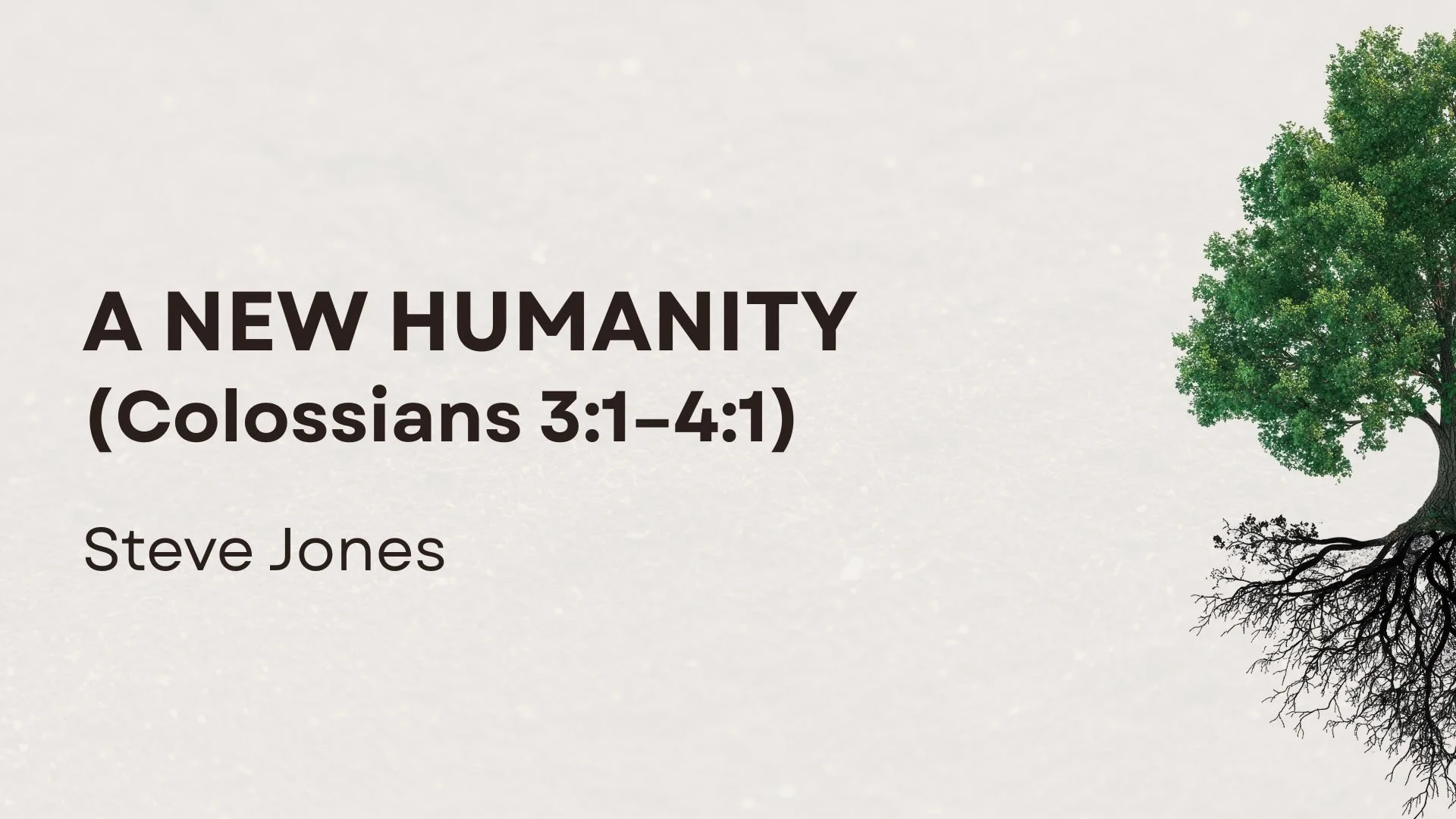 A New Humanity (Colossians 3:1-4:1) 