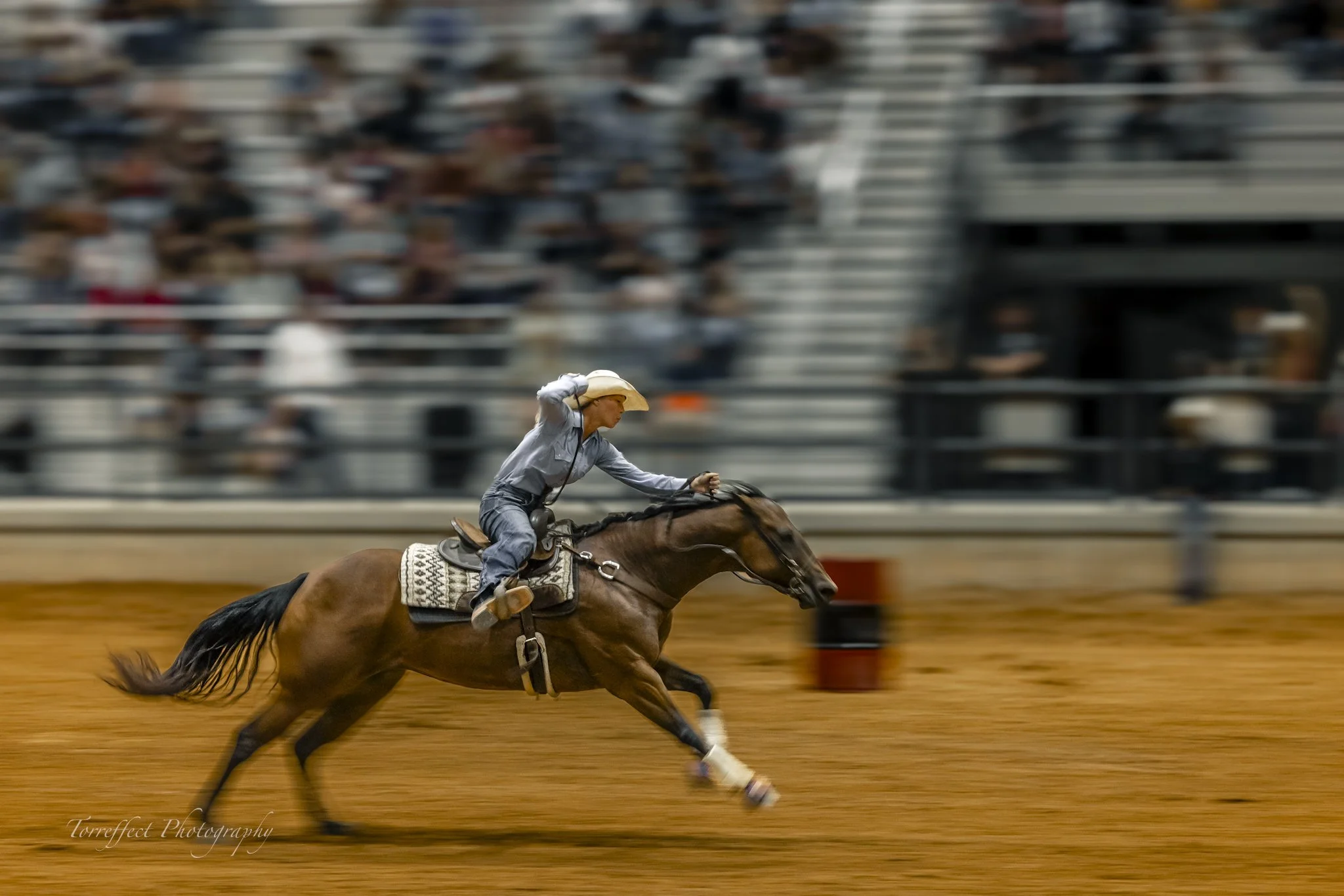 05-Rodeo-17.jpg