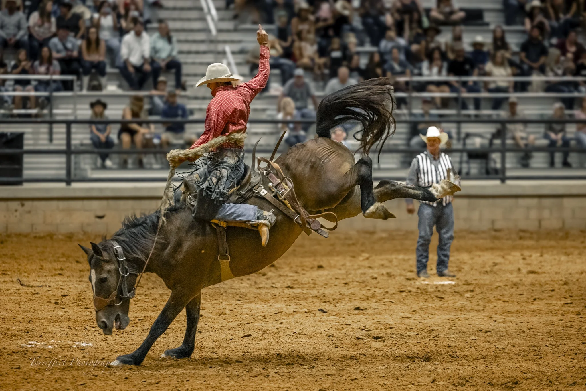 08-Rodeo-14.jpg
