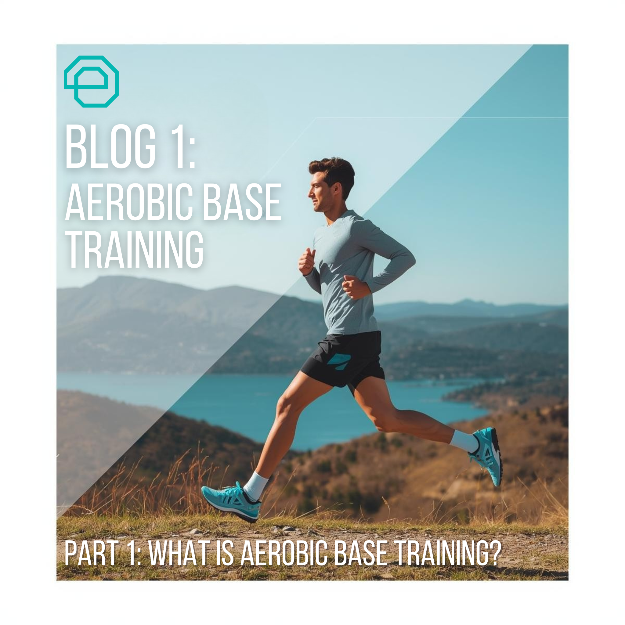 Blog 1: Aerobic Base Training