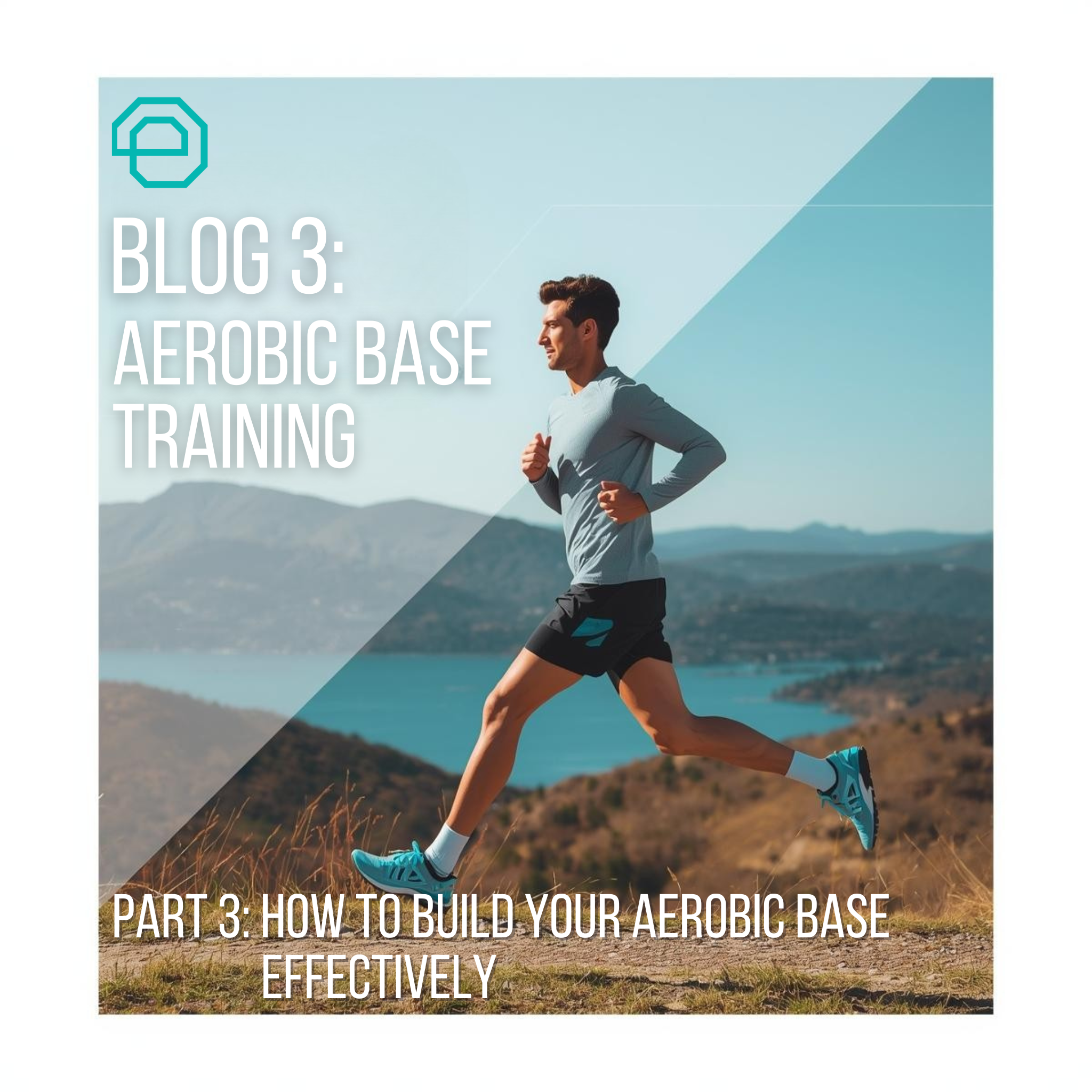 Blog 3: Aerobic Base Training