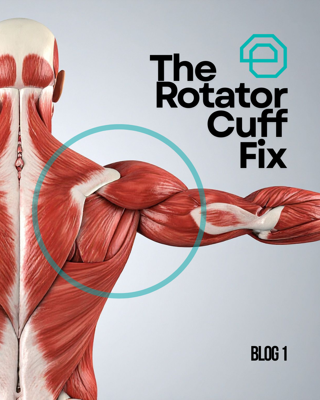 Blog 1: The Rotator Cuff Fix