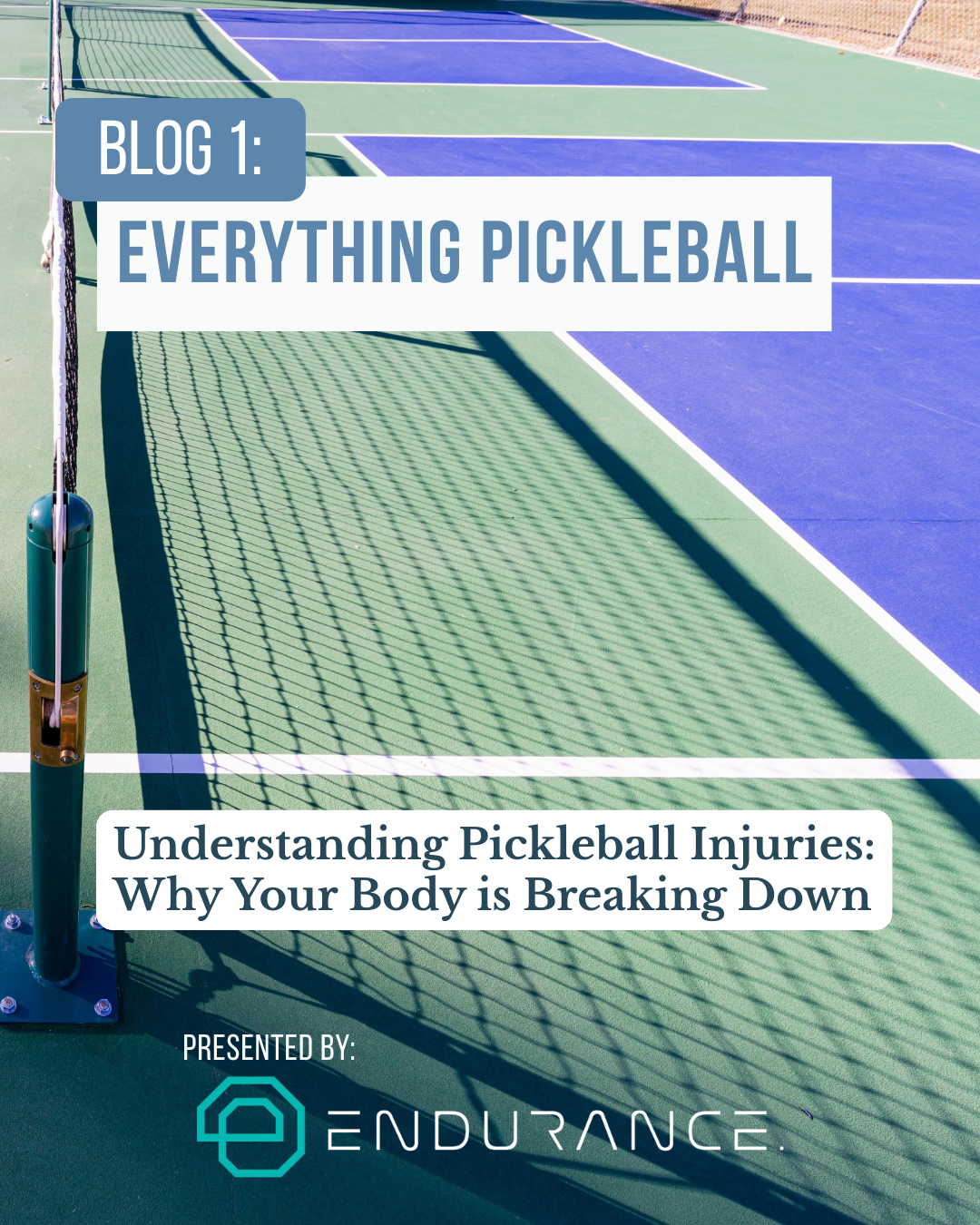 Blog 1: Everything Pickleball