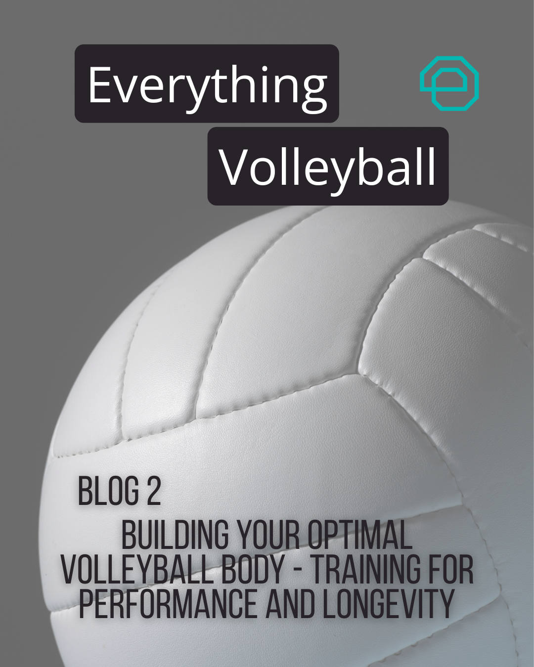 Blog 2: Everything Volleyball🏐