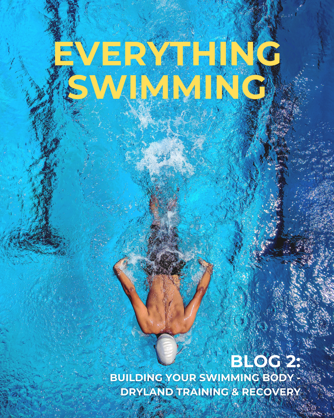 Blog 3: Everything Swimming 🏊‍♂️ 