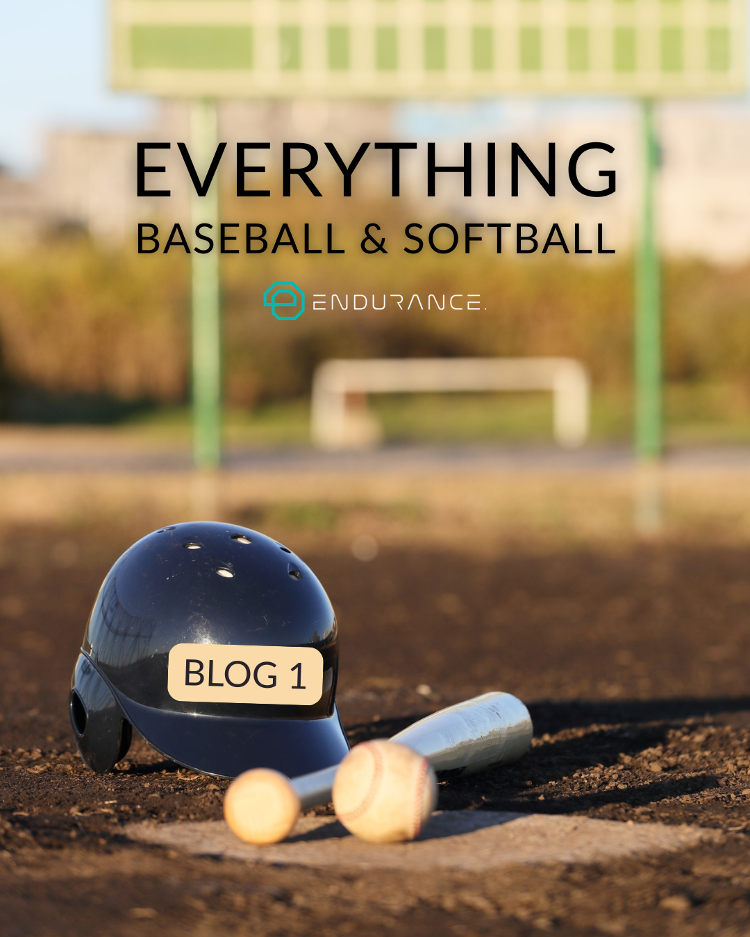 Blog 1: Everything Baseball &amp; Softball ⚾