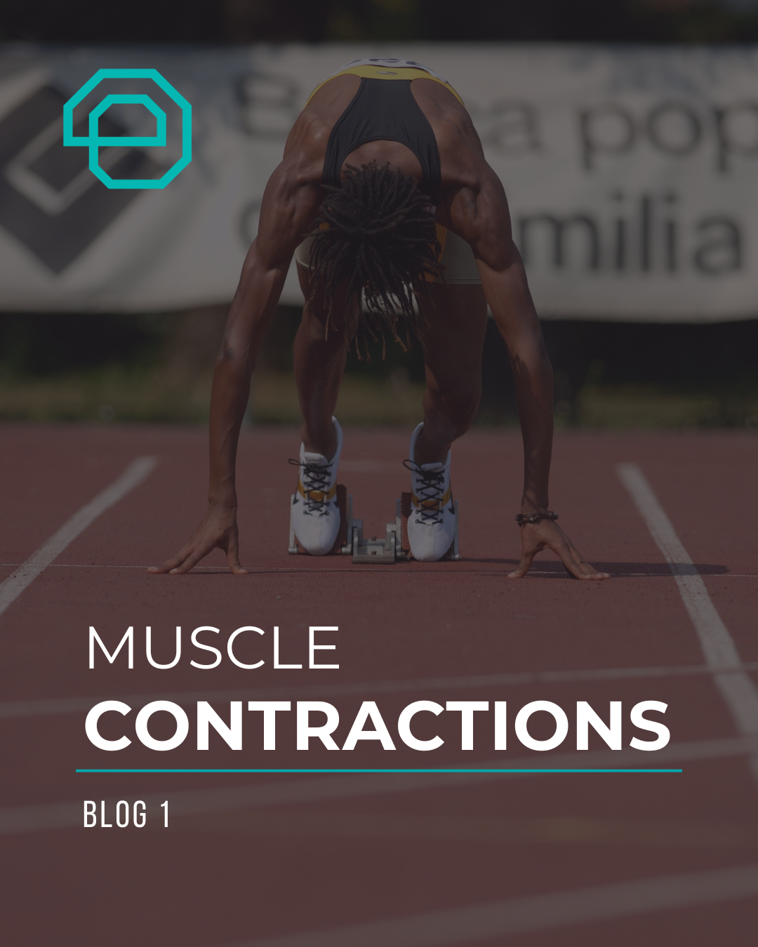 Blog 1: Muscle Contractions