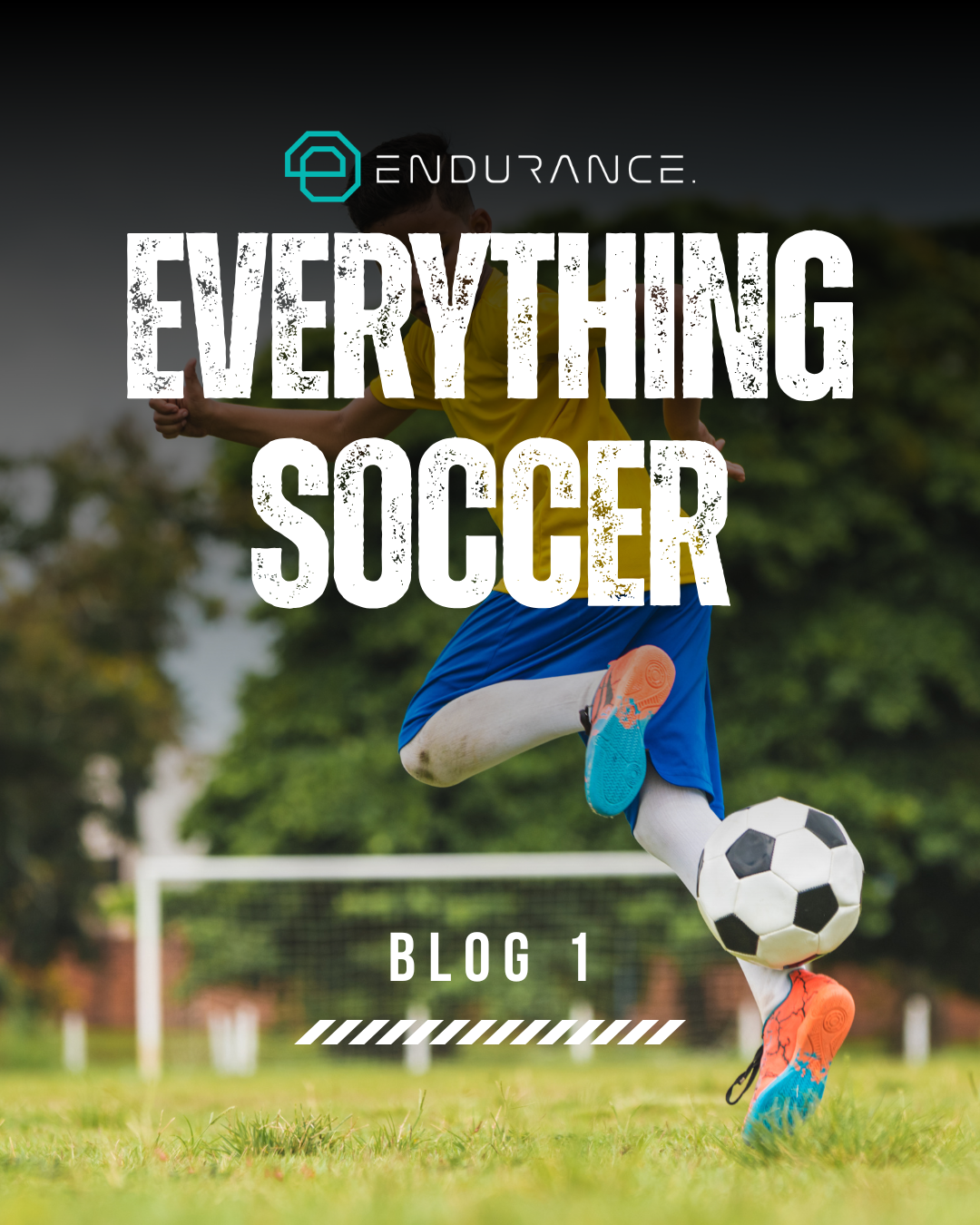 Blog 1: Everything Soccer 
