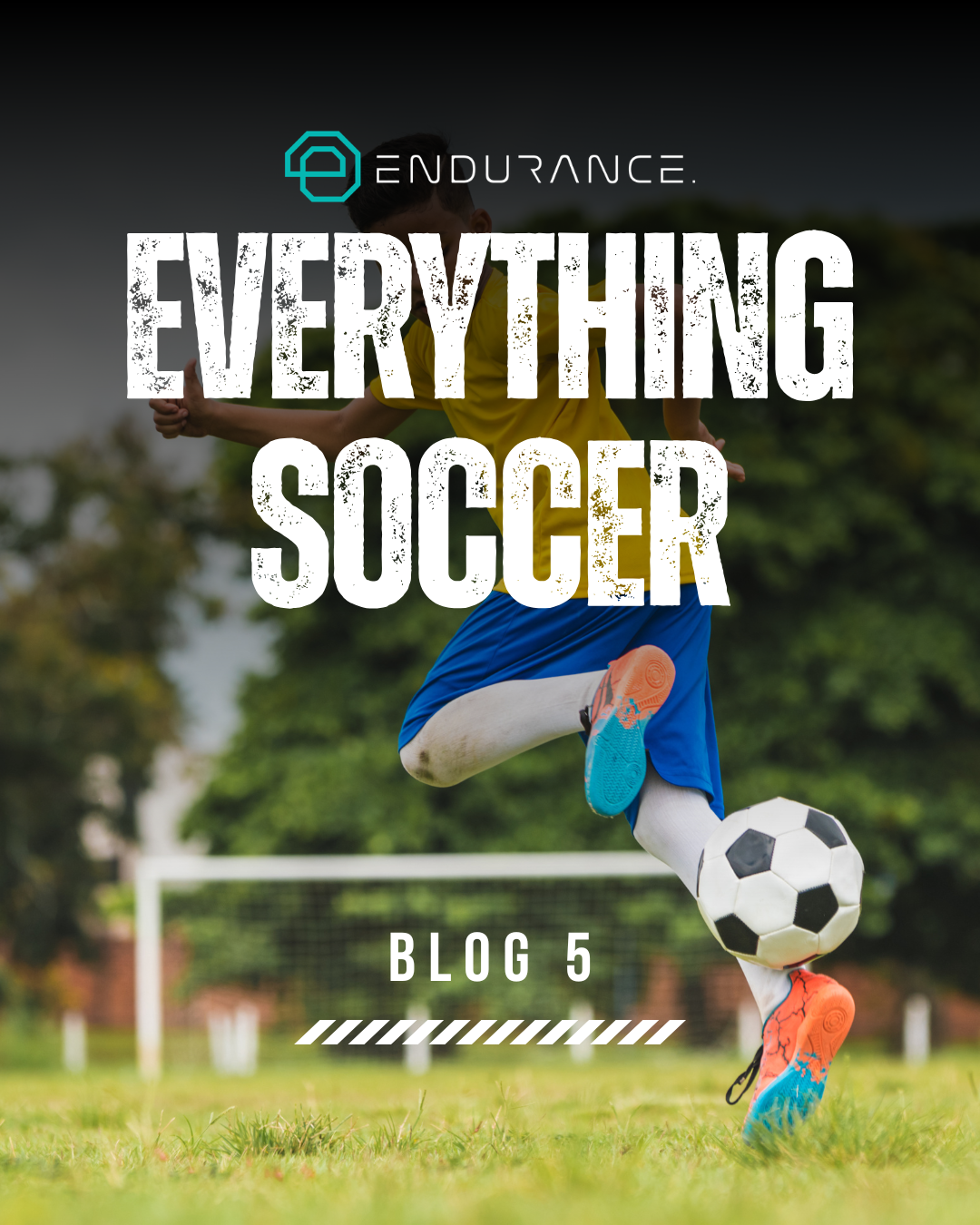 Blog 5: Everything Soccer