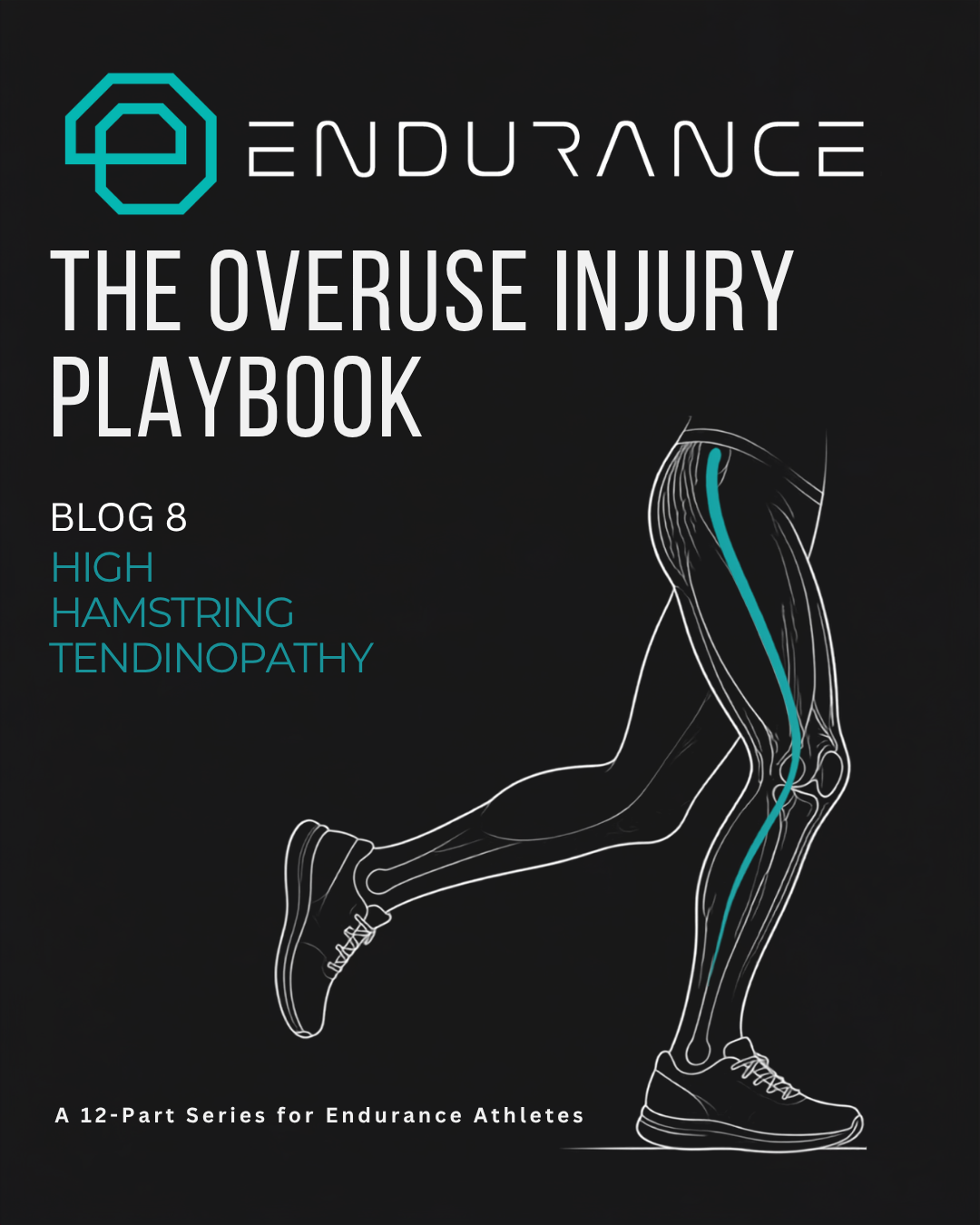 Blog 8: The Overuse Injuries Playbook 