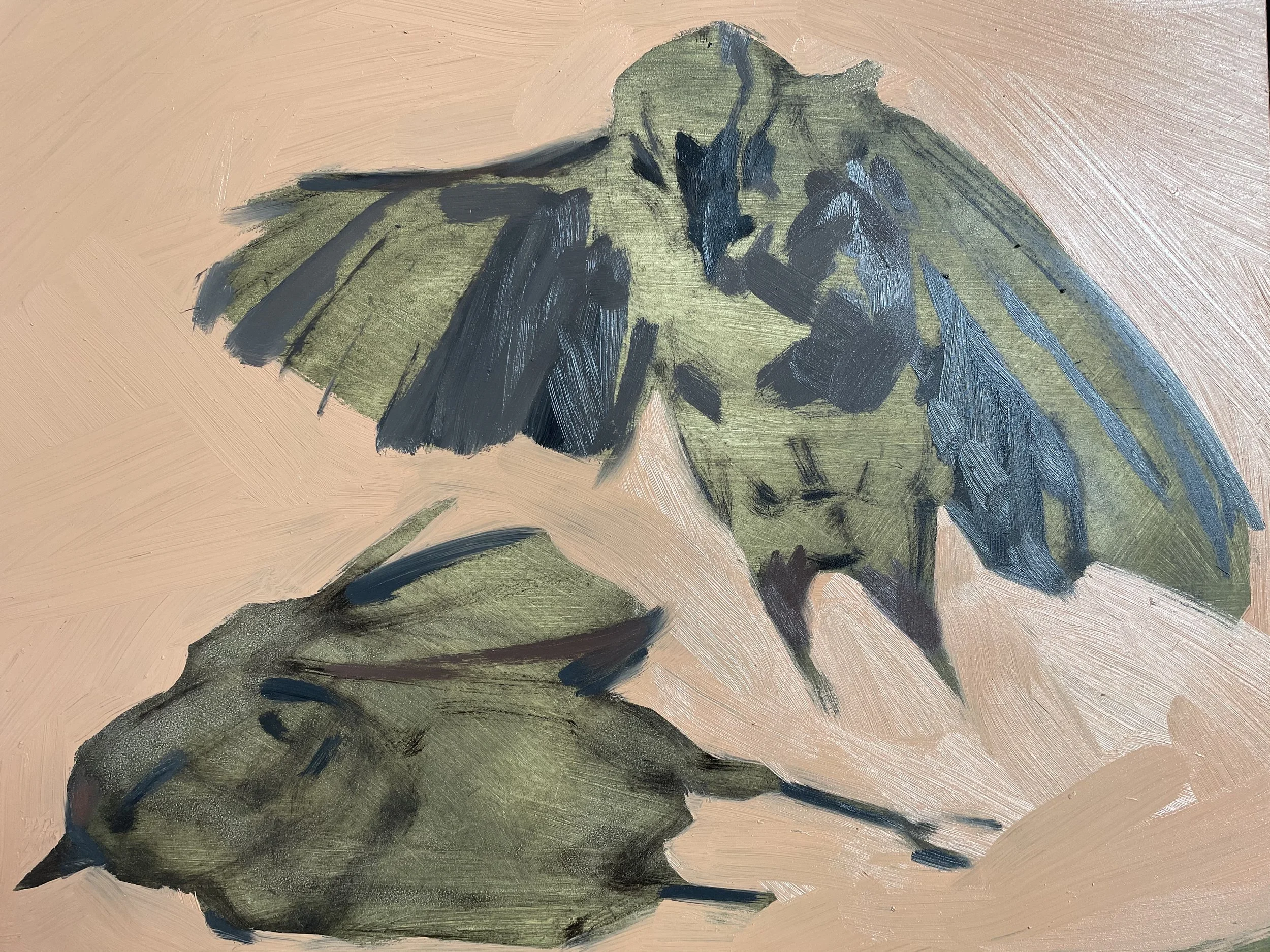 © Jessica Potenza 2025