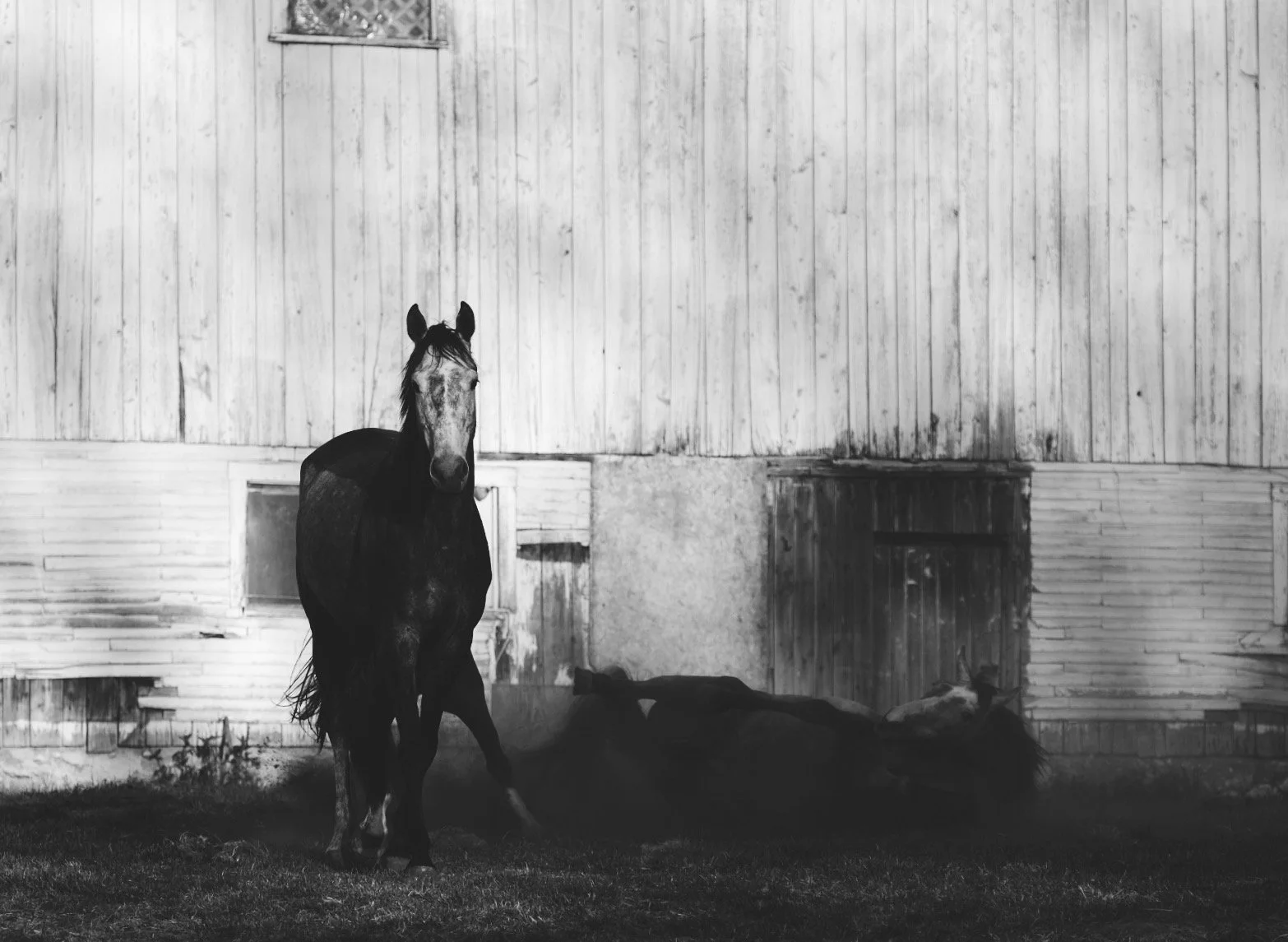 © Jessica Potenza 2025